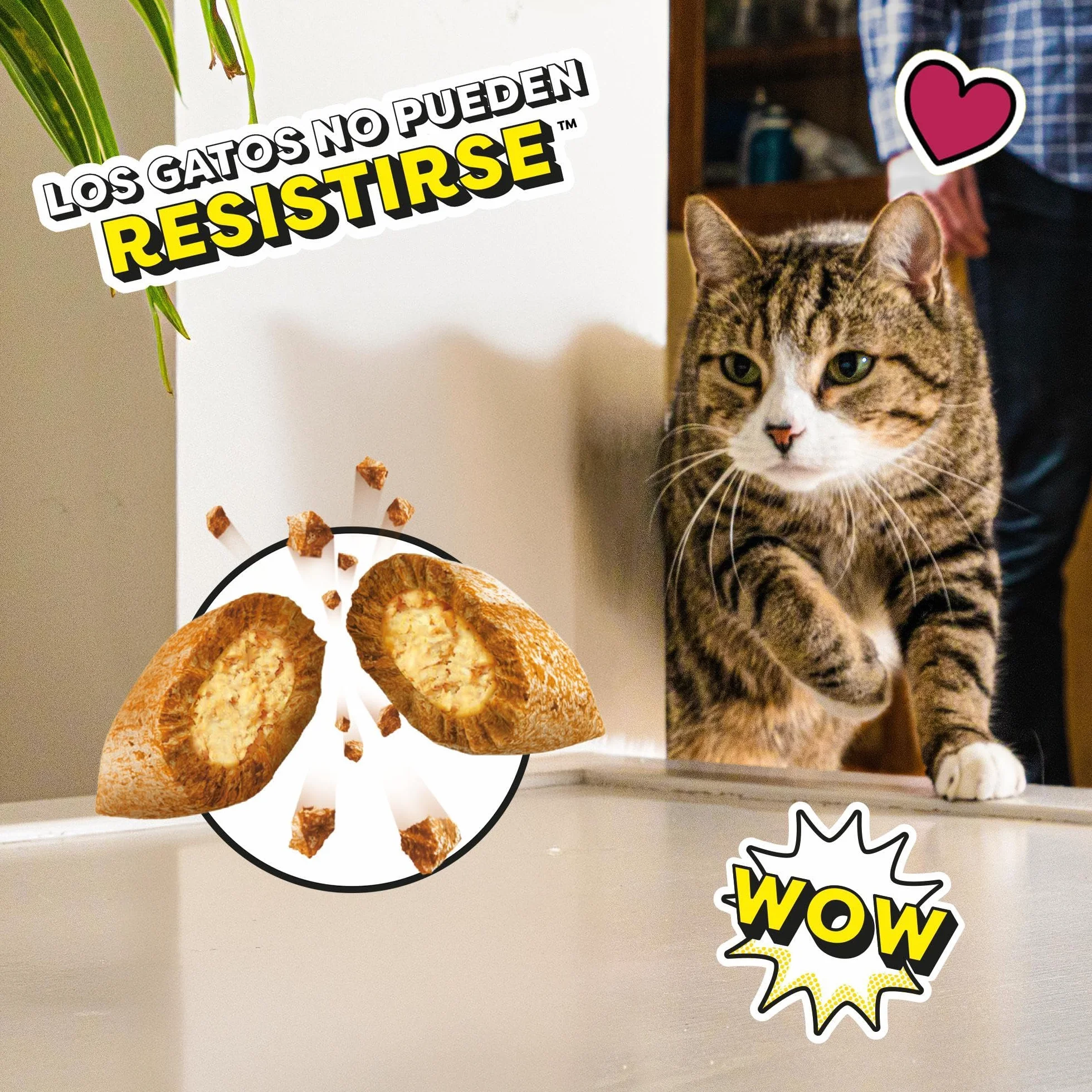 Mars Catisfactions Premios para Gatos, Sabor Salmón (Pack de 6 x 60g)
