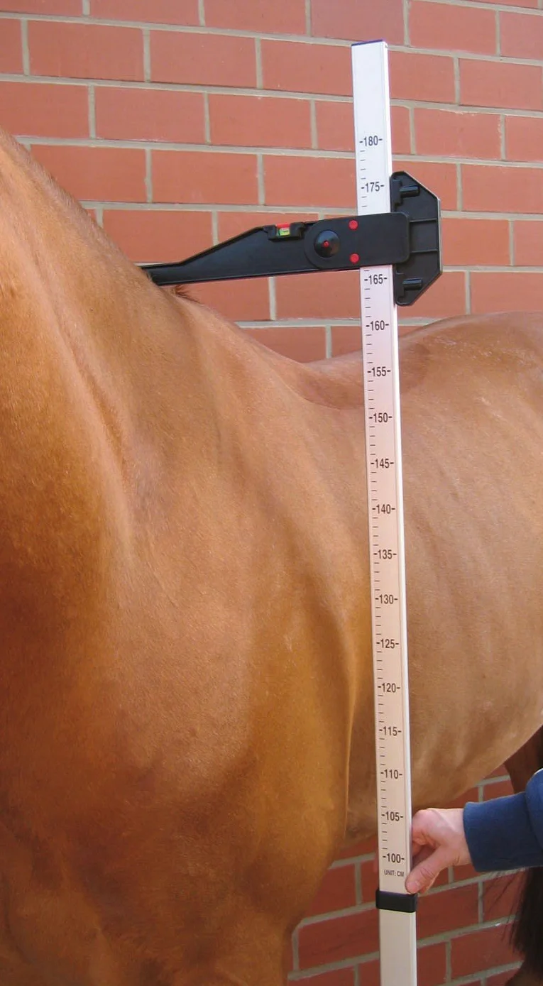 Busse Bastón de Aluminio, 180 cm, 180