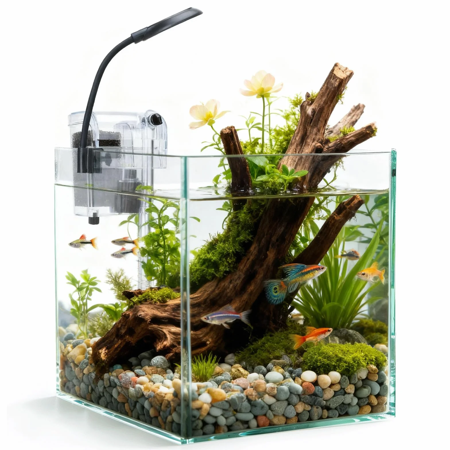 Nobleza - Pecera de Cristal 27 litros con Filtro Integrado e Iluminación LED – Acuario Completo para Principiantes e Iniciación
