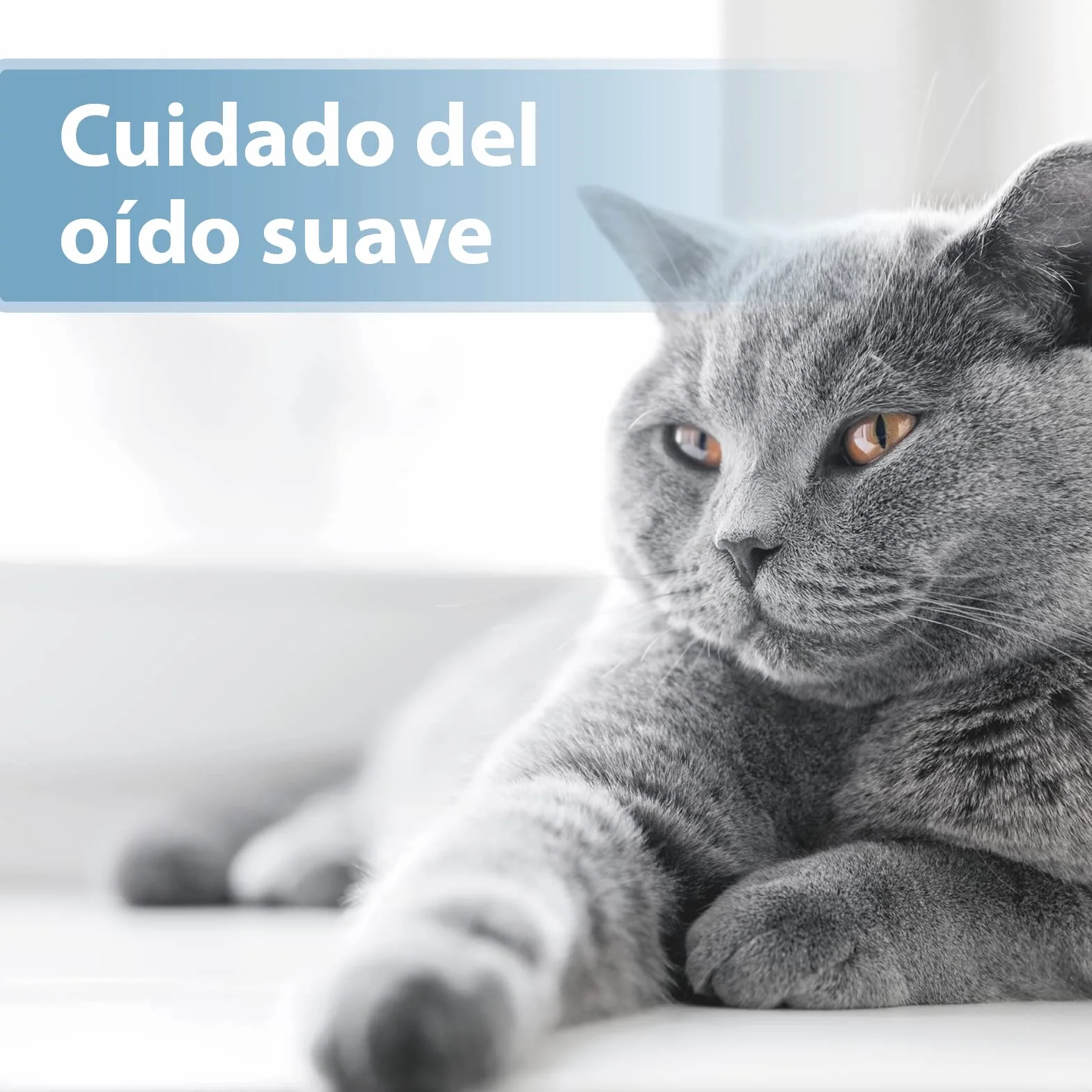 Felisept Almohadilla Para El Cuidado de los Oídos Para Gatos 50 piezas - Cuidado e higiene para orejas de gato - Alevines para una limpieza práctica e intuitiva - Limpiador de oídos para gatos