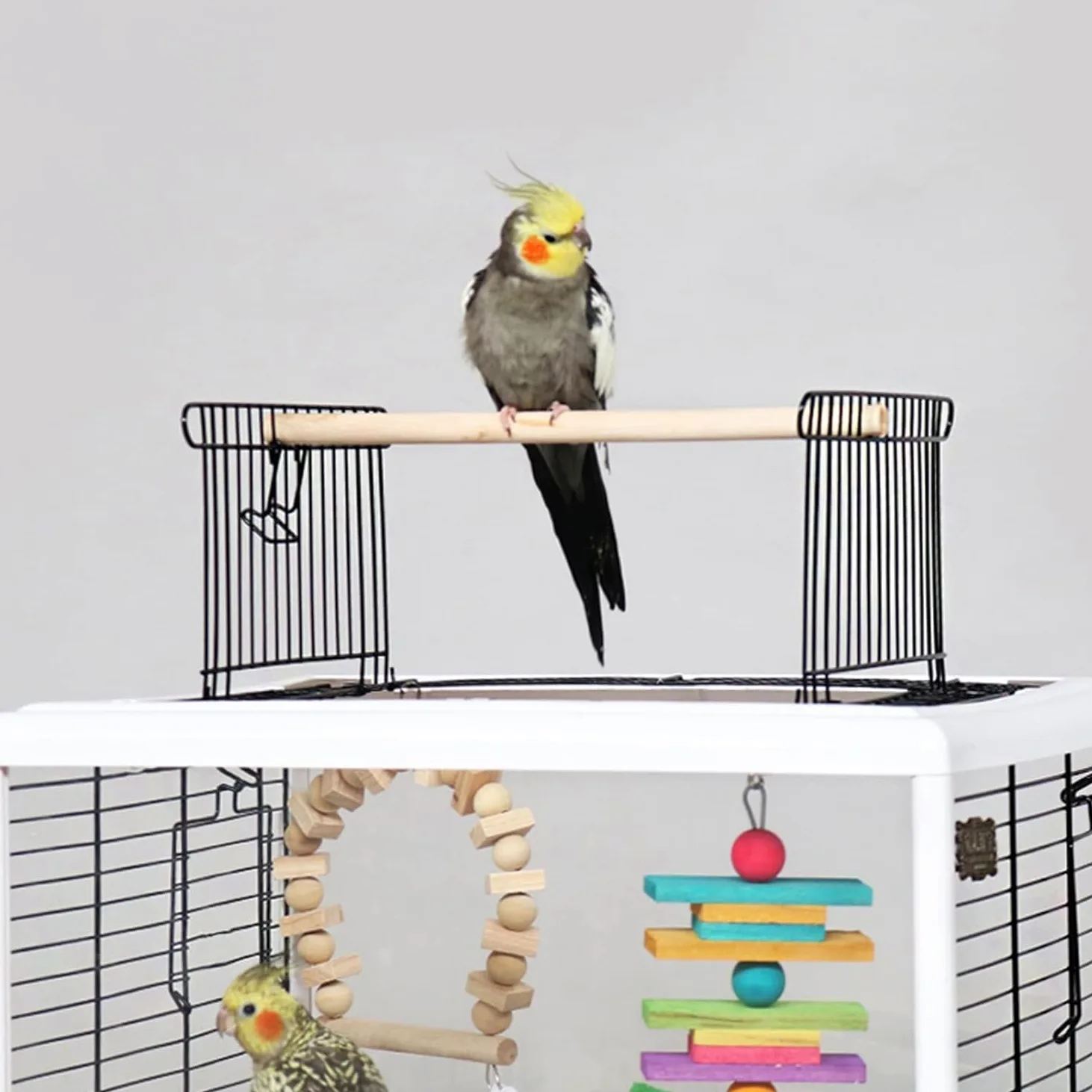 Jaula para Pájaros,Jaula Pájaros,Jaula de pájaros, Jaula for pájaros de Metal Resistente a la oxidación con Escalera en el Techo y Bandeja Inferior for cacatúas, periquitos, agapornis