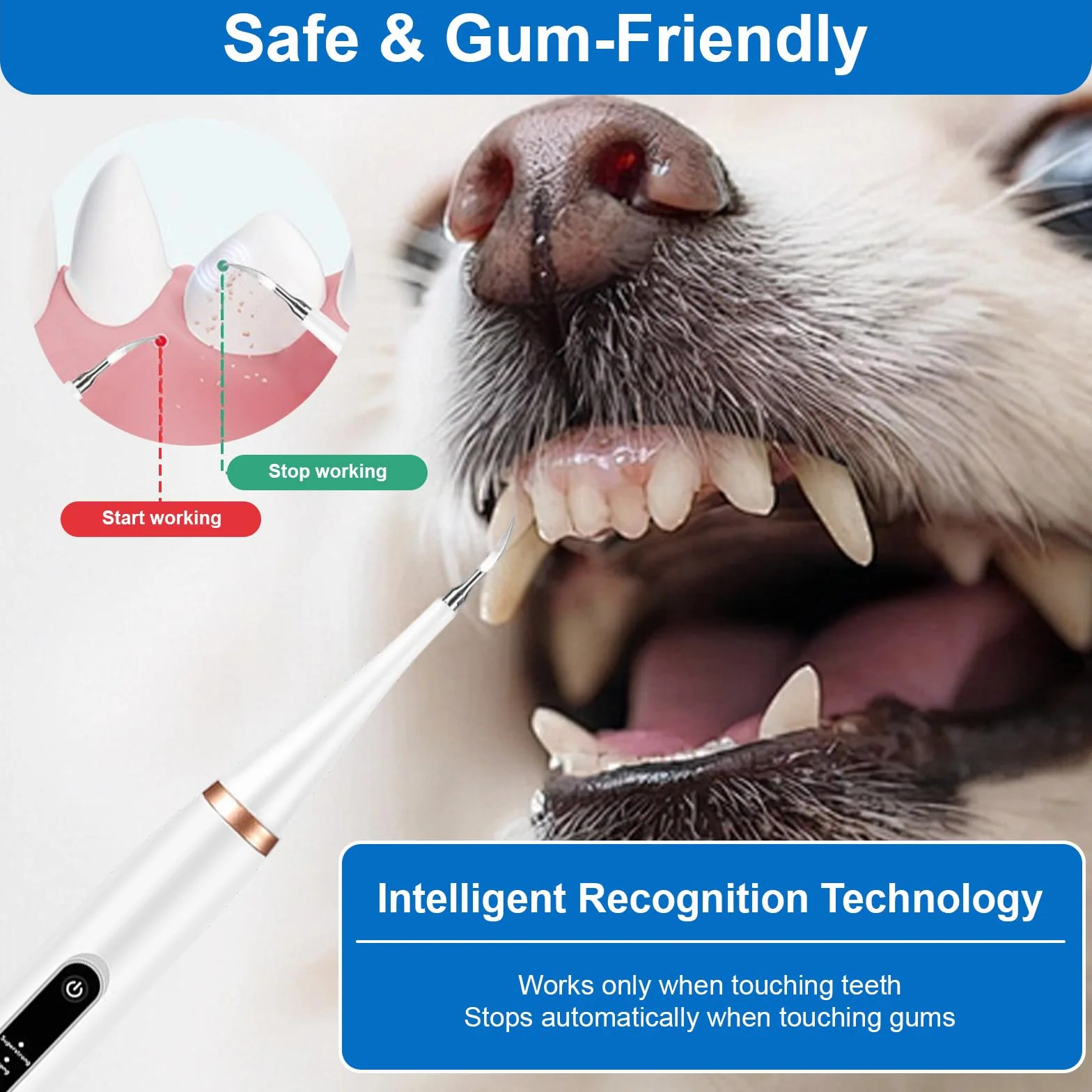 Limpiador Dental Ultrasónico para Perros y Gatos Blanco – 5 Modos con LED, Detección de Encías, IPX7, Recargable USB-C, Kit Completo