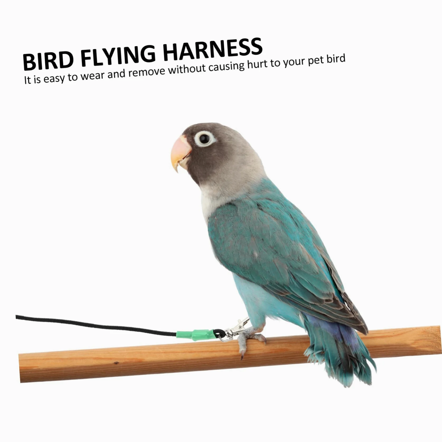 2 Correas para Pájaros Loros Cómodas Y Ligeras Ideales para Volar al Aire