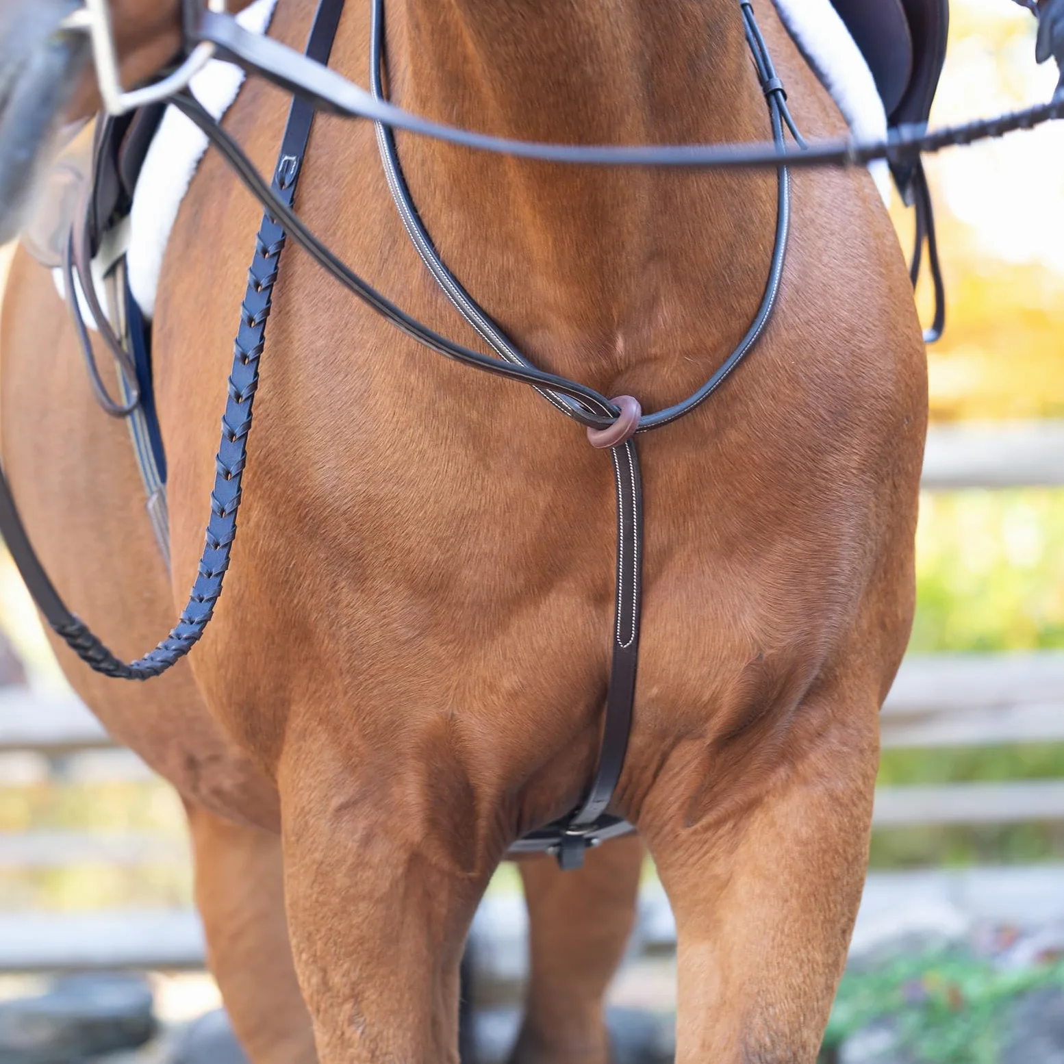 Equinavia Saga Martingala de pie ajustable de cuero con herrajes de acero inoxidable, marrón chocolate, mazorca