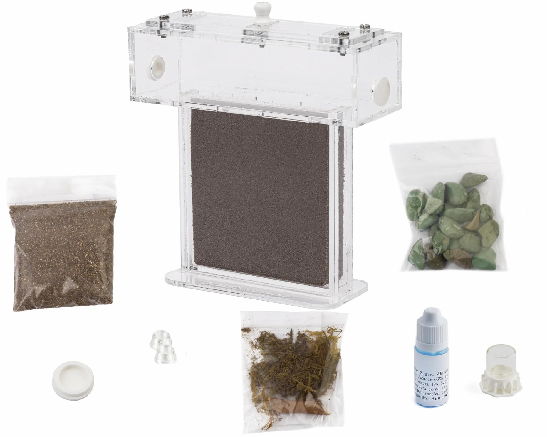 Kit Hormiguero Acrílico de Espuma en Forma de T Mini - Sándwich 14x5x14cm cm y Caja de Forrajeo - Hormiguero con Hormigas Vivas Incluidas (Reina, Obreras, Huevos y Larvas) - Transparente