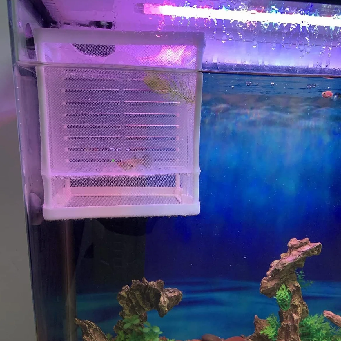 Incubadora De Peces De Acuario,Caja De Cría De Peces,Acuario Criador De Red,Incubador Separador Tanque,Aislamiento De Pece con Ventosas,Cría Pece para Proteger Bebés,para Camarones Incubadors,Kiuiom