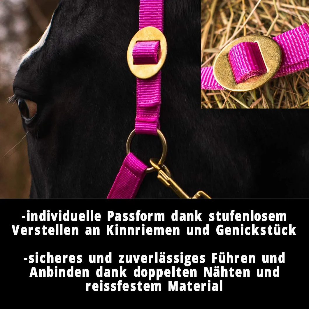 Pferdelinis Cabestro para potro Mini Shetty Cabestro para caballo de madera – Cabestro de potro 2 posiciones ajustable en mentón y cuello (rosa, potro)