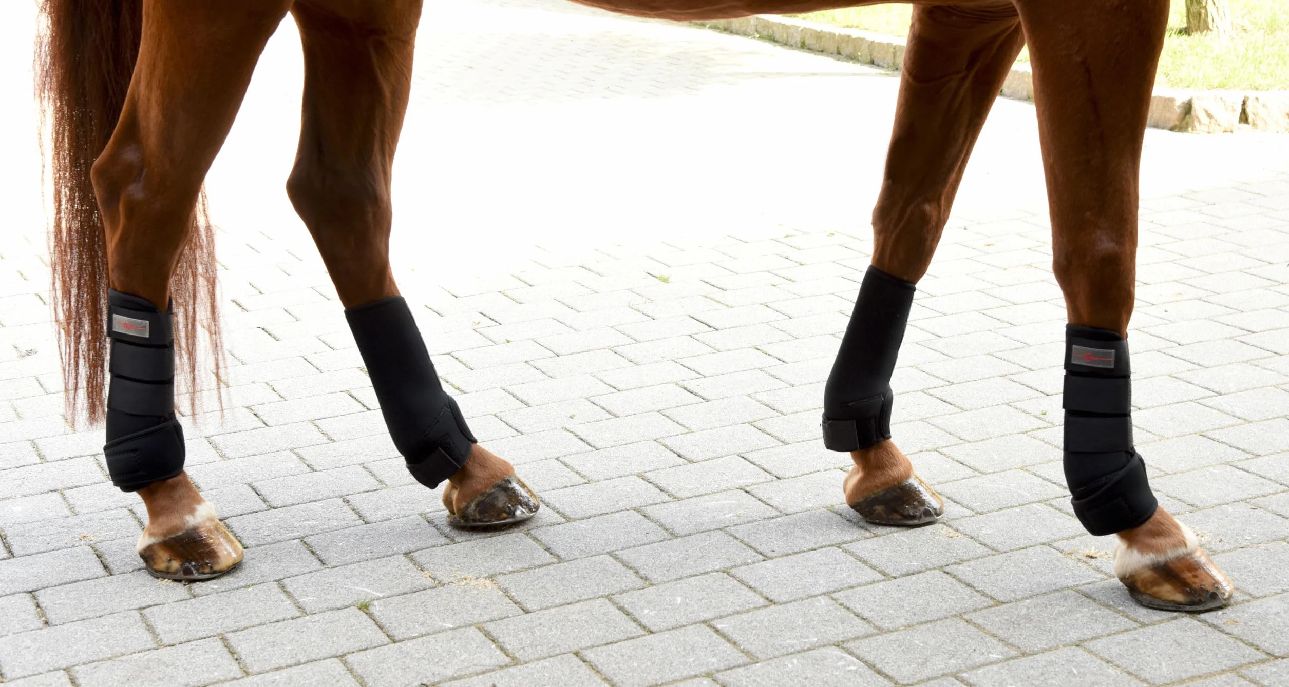 Kerbl Synthetic Rubber Fetlock Boots Set of 4 Black 3 Sizes