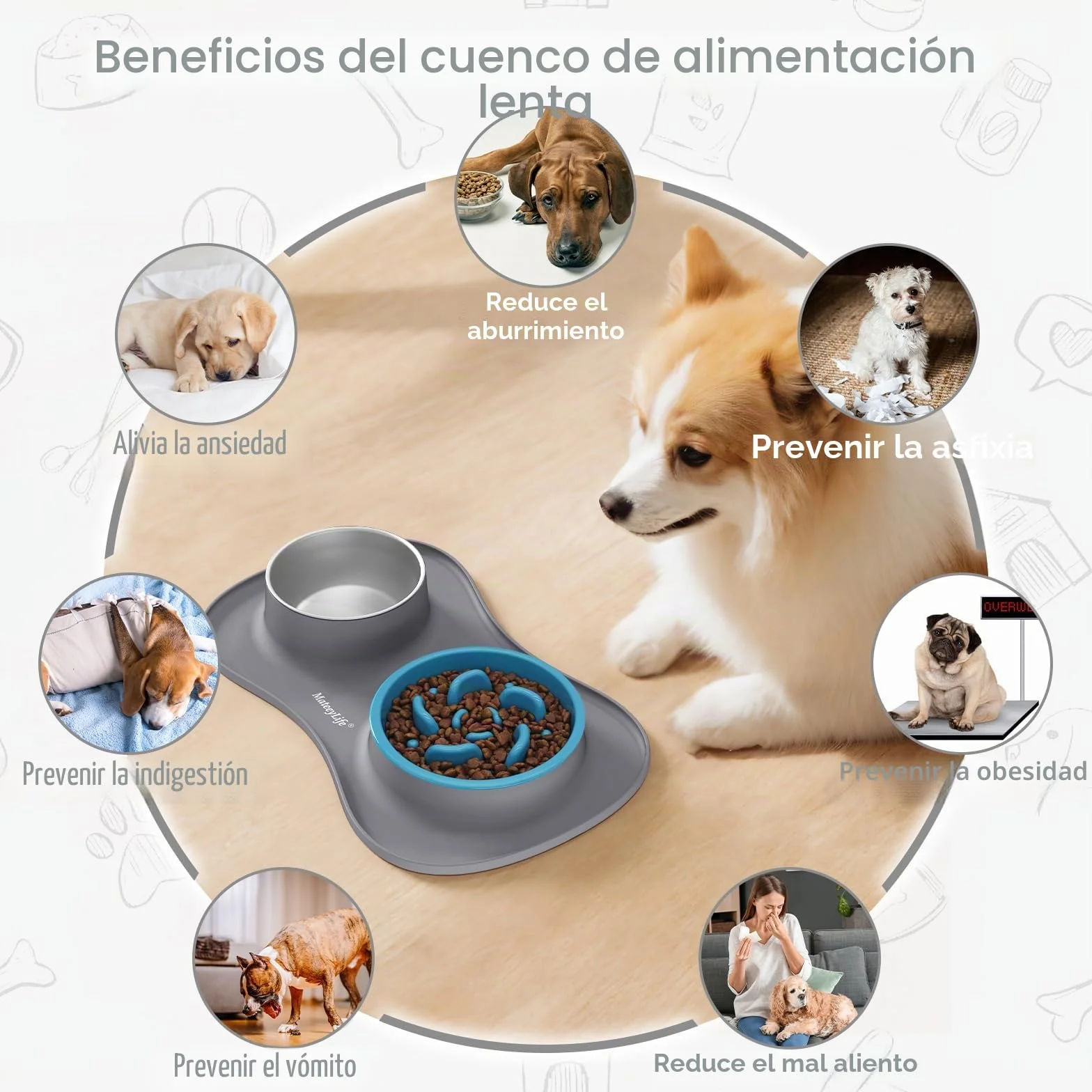 MateeyLife Juego de Boles para Perro 3 en 1, Comedero Antivoracidad Perro y Bebedero de Acero Inoxidable con Alfombrilla Antideslizante de Silicona, Cuencos para Perros de Todas Las Razas 43.7×25.9 cm