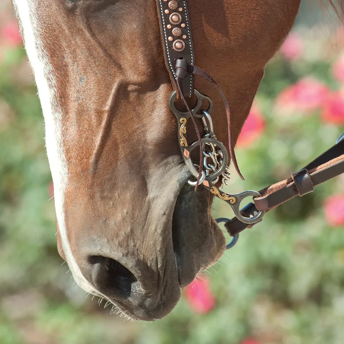 Classic Cuerda Empresa Alambre Trenzado Filo Corto, Diamond – Filete para Caballo