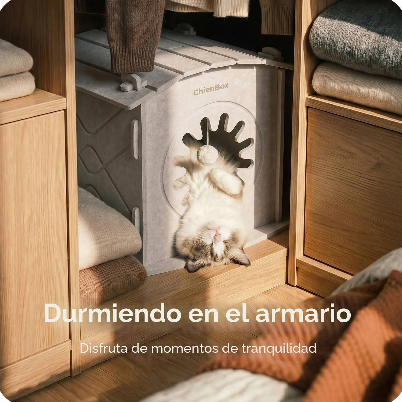 Casa para Gatos Interior de Fieltro: Cálida Cueva para Gatos Invierno, Casa Gatos Robusta, Casa Gato con Entrada Rascadora, Cama para Gatos Fácil de Limpiar y Montar, Cueva Gato 38x36x38cm