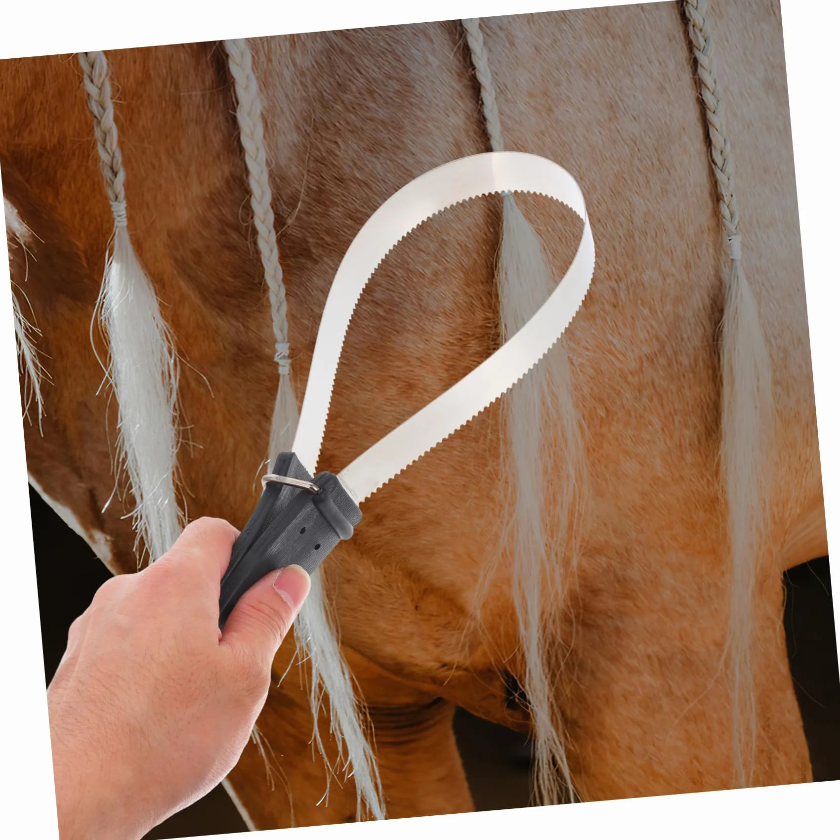 Cepillo de Pelo de Caballo con Raspador de Acero Inoxidable 11.81x3.74x0.59 Pulgadas