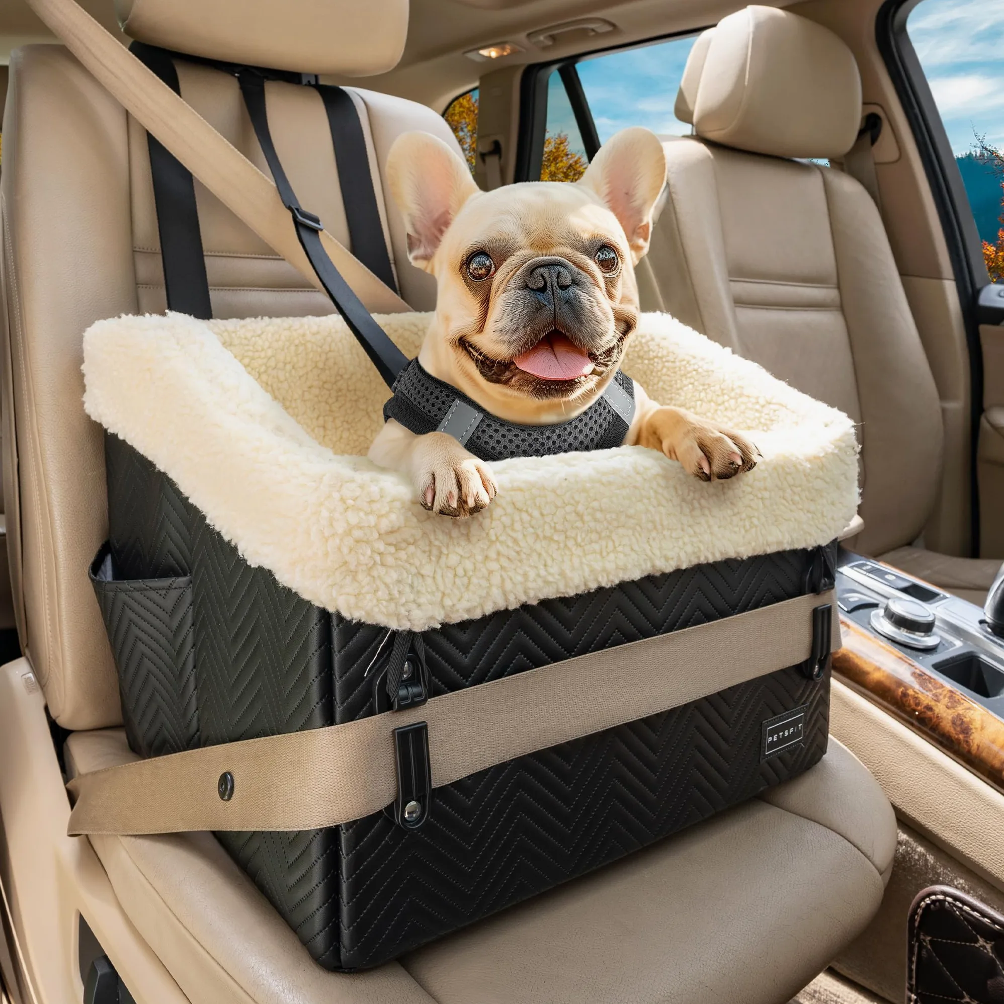 PETSFIT Asiento de Coche para Perros Pequeños (Ajustable 12,5cm) - Dog Car Seat Bed Sillas para Perros para Coche con Hebillas de Seguridad Patentadas