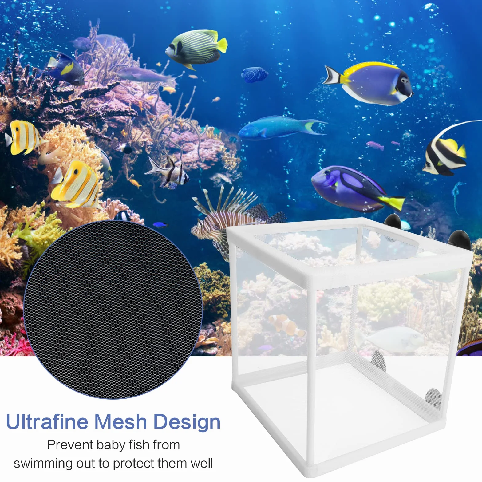 2Pcs Caja de Cría e Incubadora de Peces para Acuario - Aislamiento Con Ventosas y Red de Protección para Bebés
