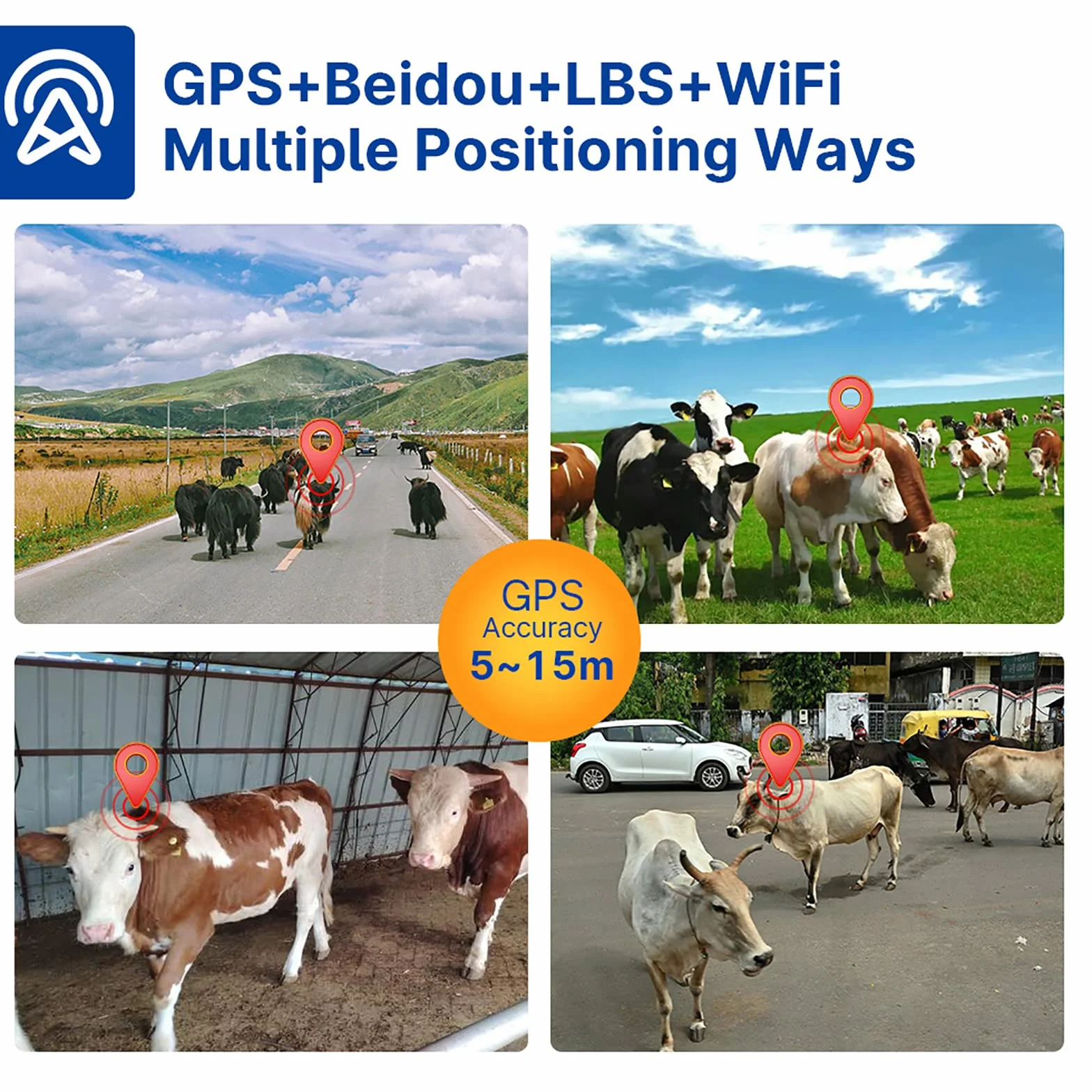 Rastreador De Animales, Rastreador GPS De Ganado, Caballos Y Camellos, Batería De Litio De 6000 MAh, Seguimiento Histórico, Posicionamiento En Tiempo Real, Configuración De Rango