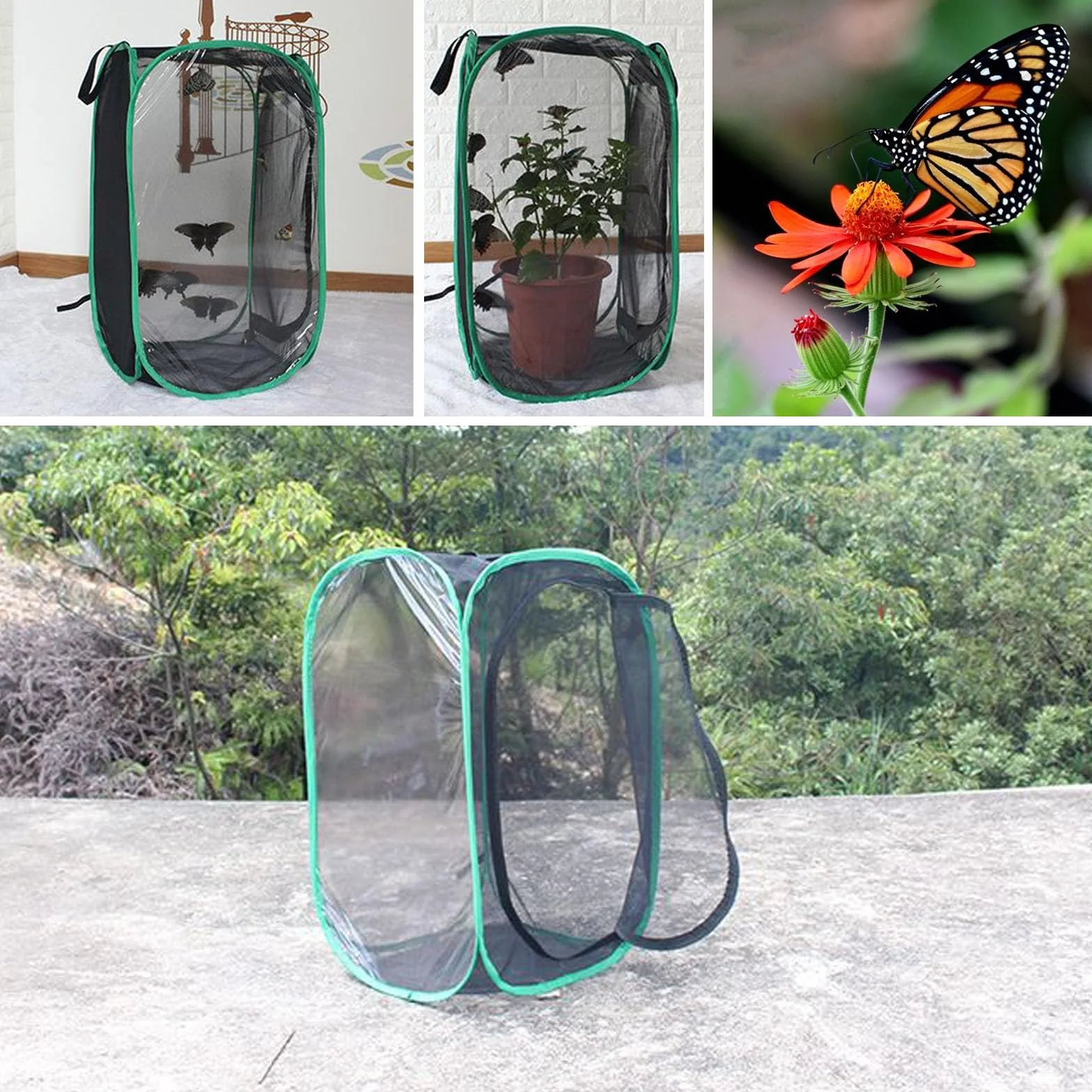 Beavorty Jaula Plegable para Insectos Red Transpirable y Buena Ventilación, Incubadora Translúcida Práctica para Mariposas, Fácil de Almacenar y Usar