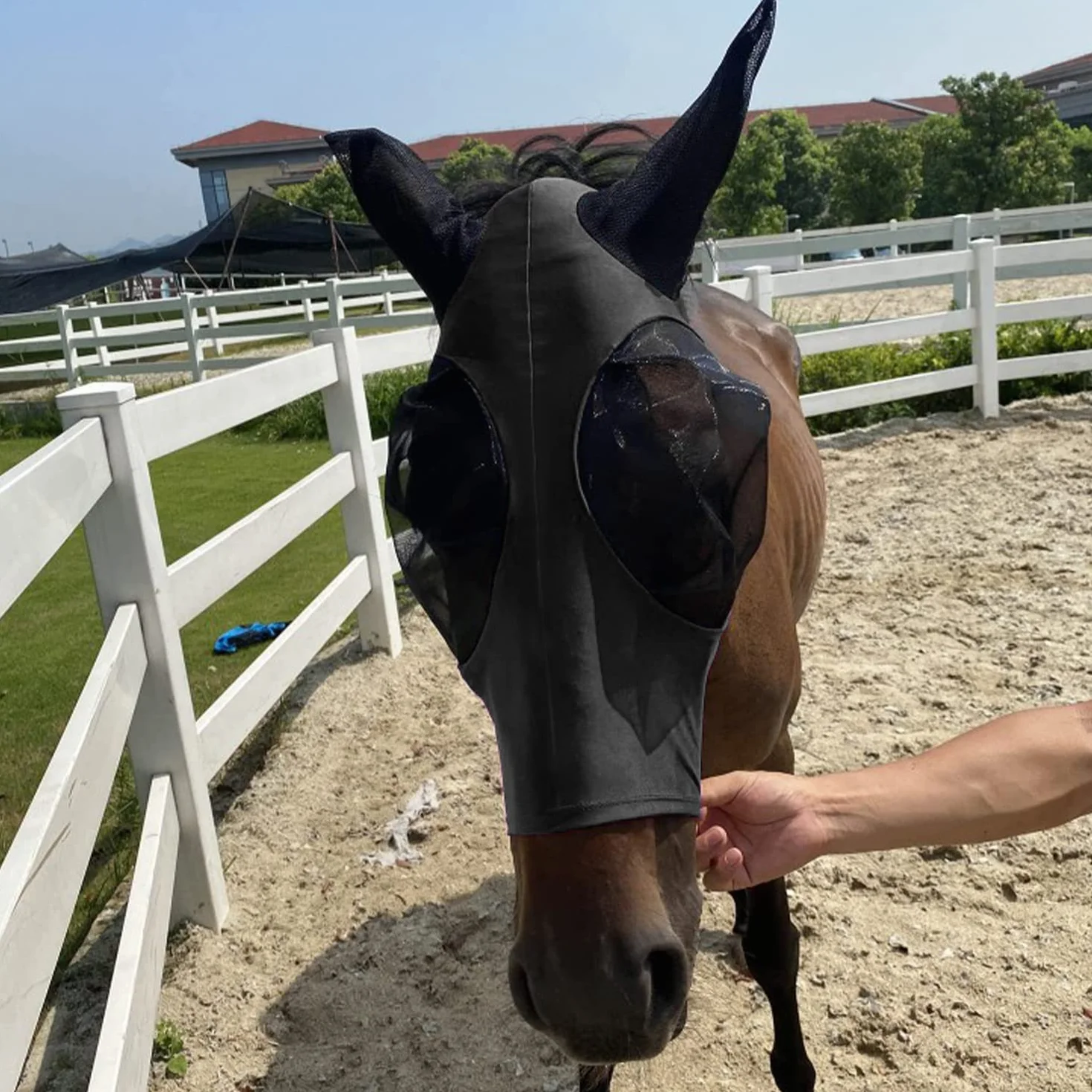 Máscara antimoscas para caballos con orejeras, malla transpirable anti-UV, elástica (negro)
