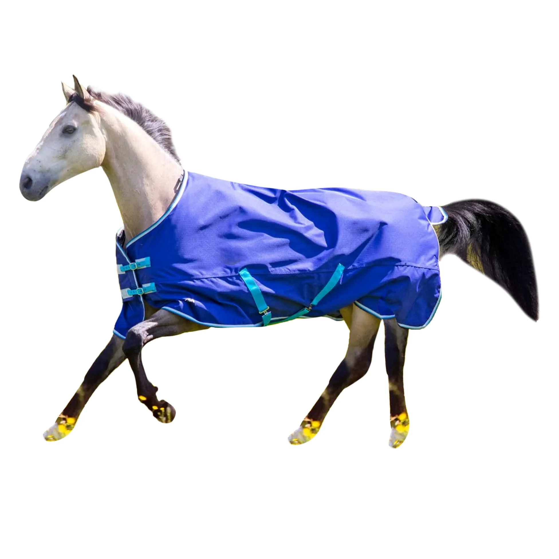 Tempest - Manta de Caballos para Ejercicio Cuello Estándar Original 100 (5' 9) (Marino)