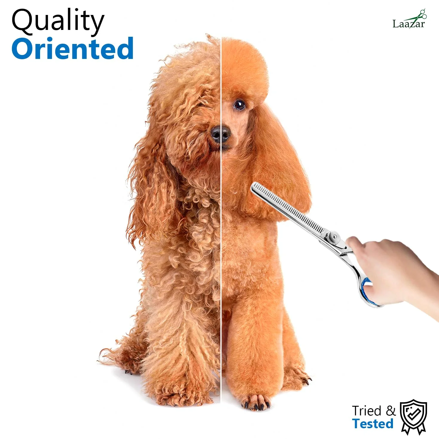 Laazar Pro Shears, Tijeras de Aseo para Mascotas entrelazadas, 16,5 cm, 42 Dientes