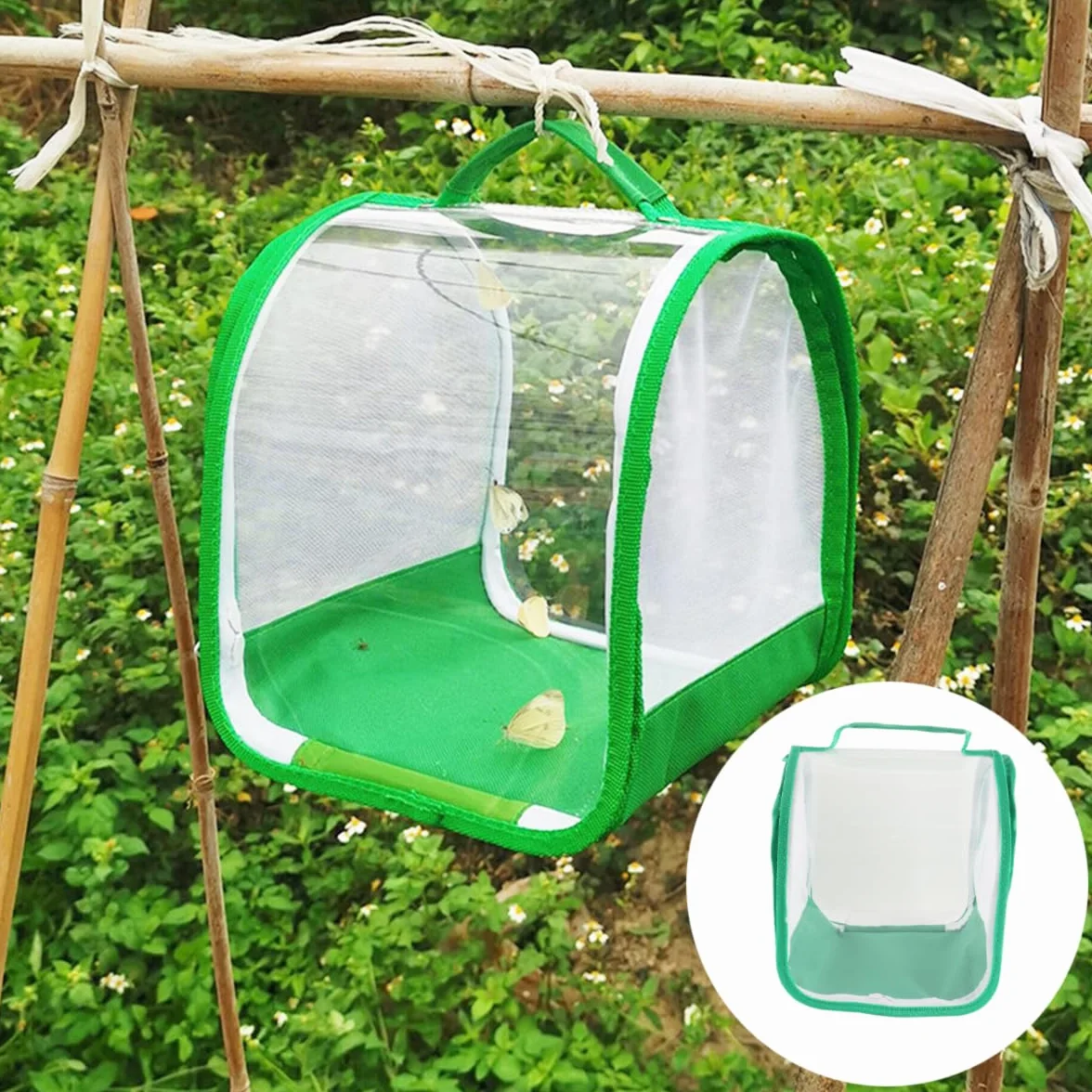 Qury Jaula de hábitat de mariposas, 7.9 x 7.9 x 7.9 pulgadas, plegable, malla de ventilación transparente con asa para mariposas, libélulas (verde)