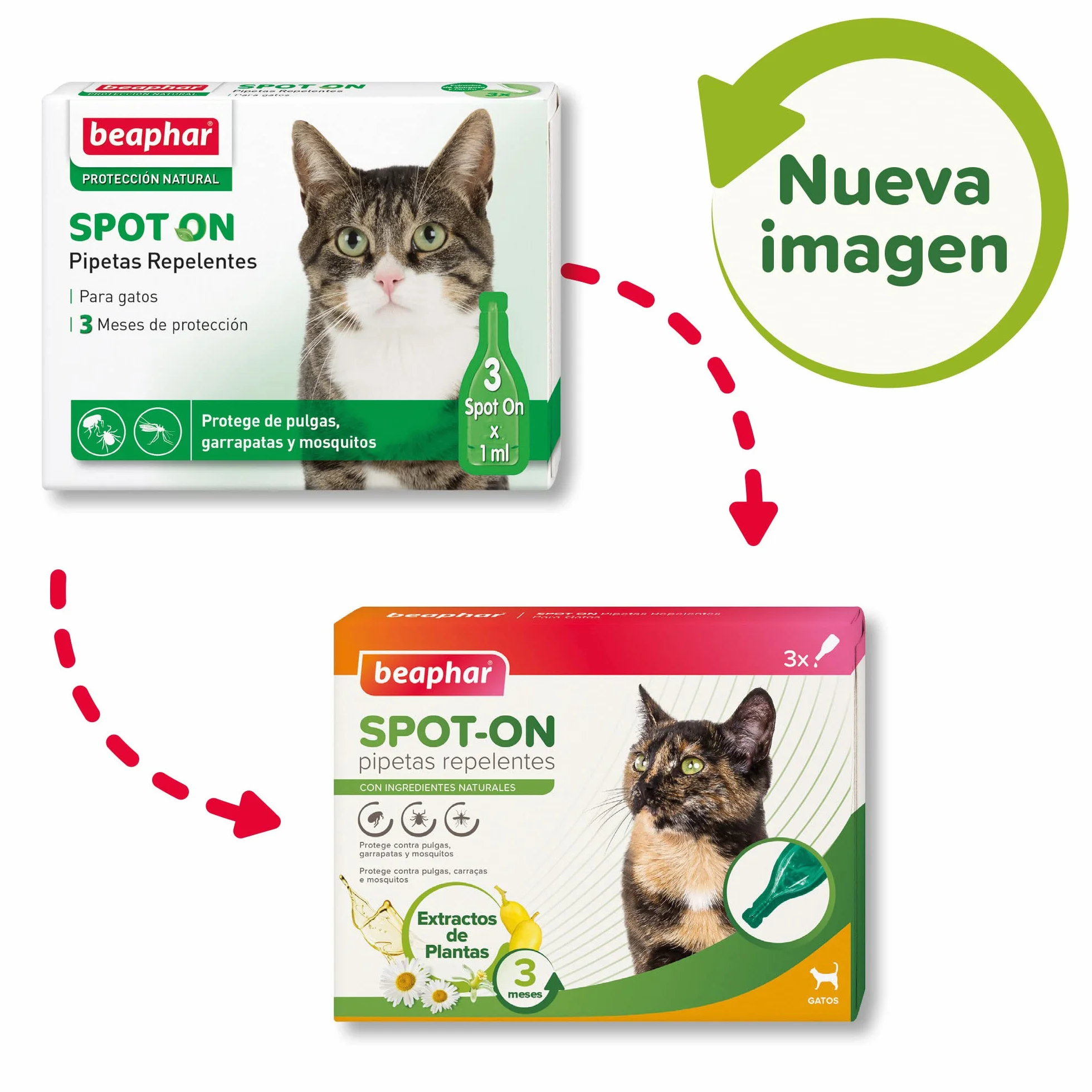 Beaphar Pipetas repelentes Naturales para Gatos - 3 Meses de protección Natural contra garrapatas, pulgas y Mosquitos - para Todo Tipo de Gatos - 3 pipetas de 1ml, El embalaje puede variar