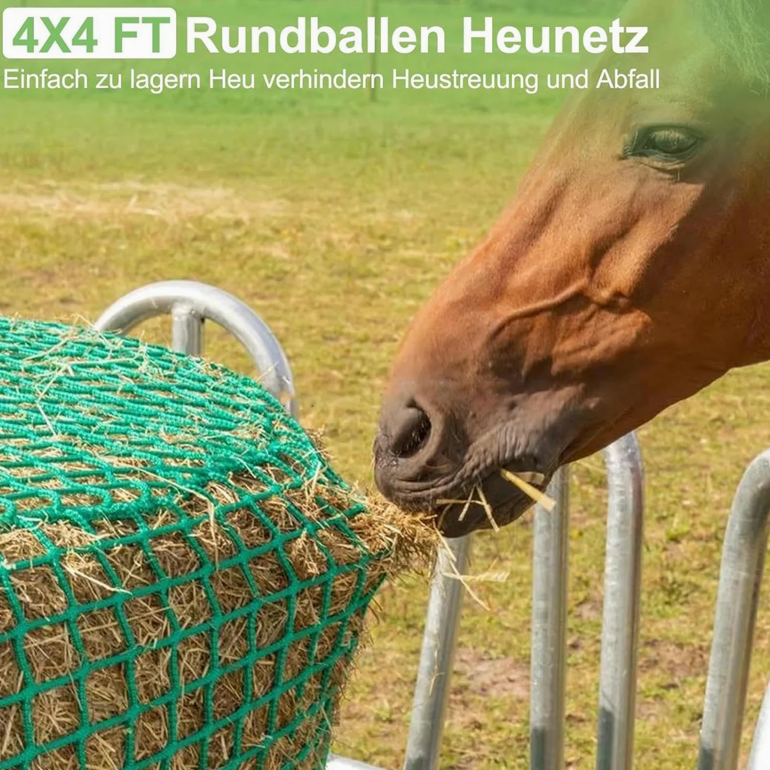 Red para Heno Bolsa de Alimento para Caballos | Bolsa Comedera Heno Cabras Establos Paddocks Entrenadores Instructores Veterinarios Escuela Equitación Ranchos Granjas