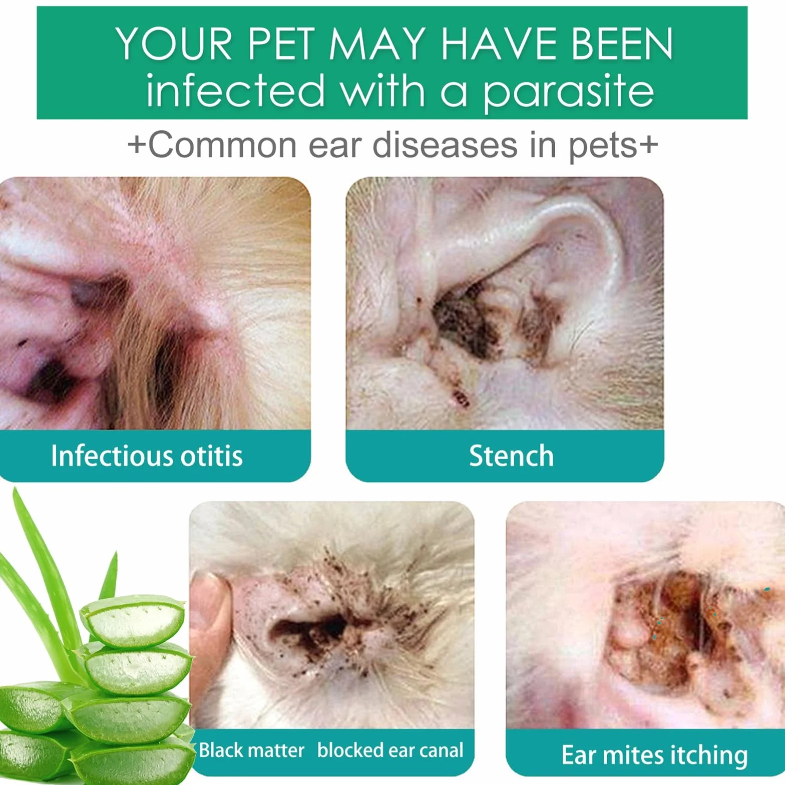 Limpiador de Orejas para Perros Y Gatos, Gotas para Los Oídos para Una Limpieza Suave Y Cuidado, Alivia El Picor Y Los Malos Olores, para Unas Orejas Limpias Y Frescas