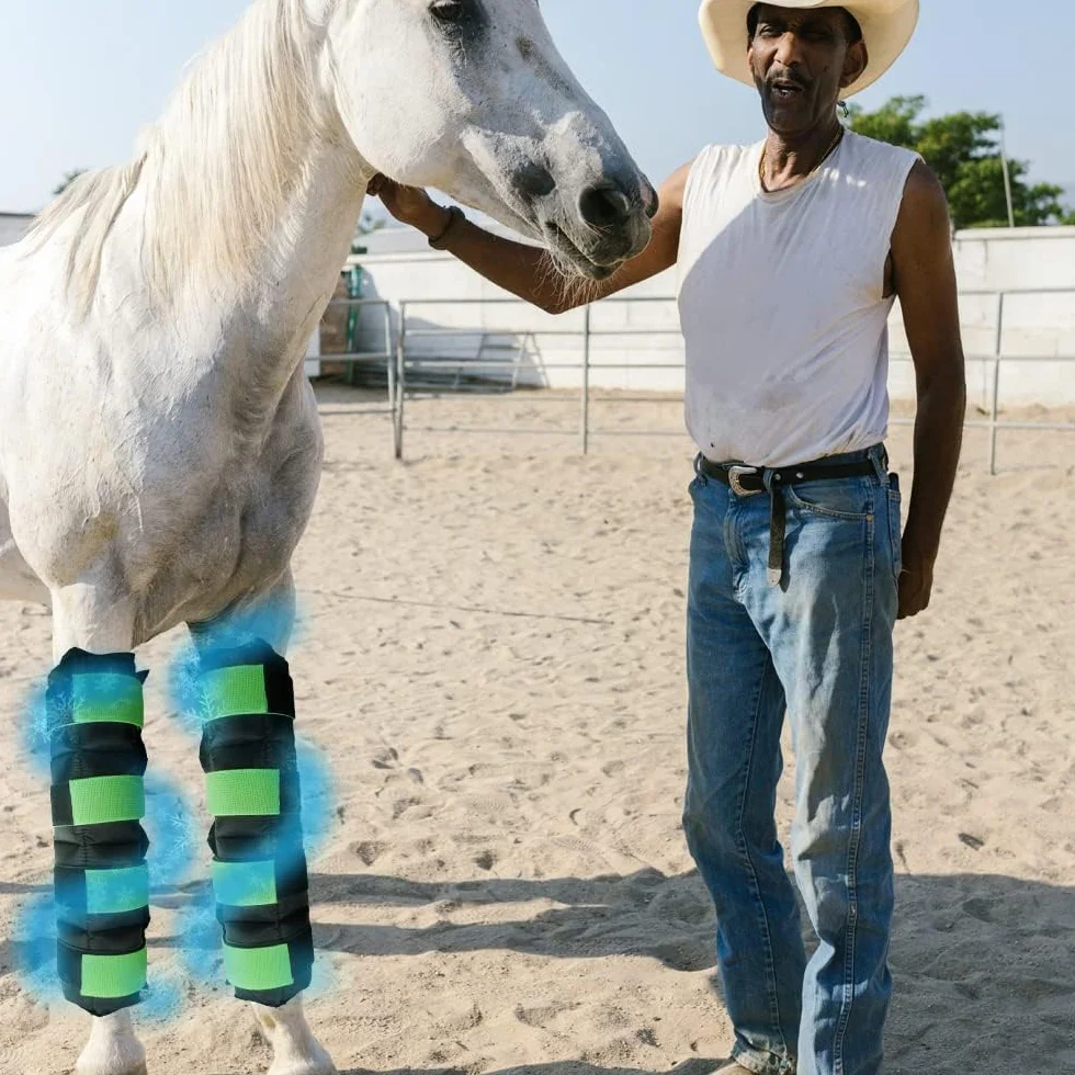 Botas de hielo de caballo para lesiones de caballo, dolor muscular, enfriar las piernas, abrigos fríos para hock, tobillo, rodilla, piernas, botas y pezos, negro verde, 1 par (2 paquetes)