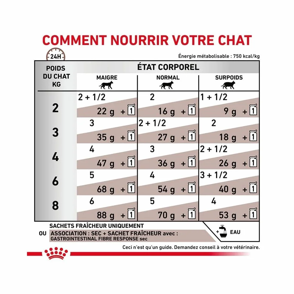 Royal Canin Gastro Intestinal Fibre Response | 12 x 85 g | Alimento dietético Completo para Gatos Adultos | para Gatos con estreñimiento crónico o Problemas gastrointestinales similares