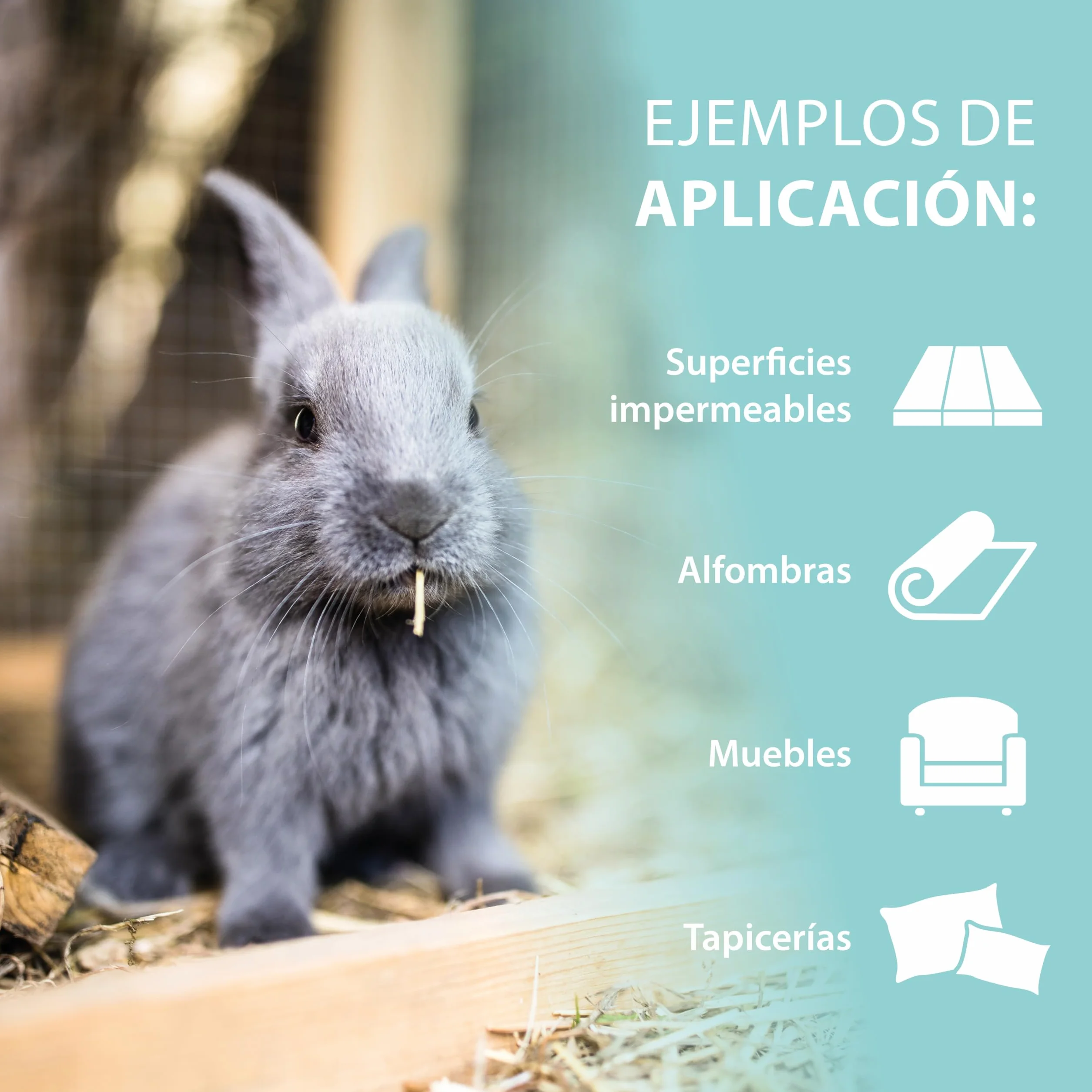 Limpiador jaulas roedores 750 ml – Spray enzimático Pipi-Stop de ARKA – Elimina orina, heces y olores de Animales – biológico, Seguro y eficaz – Ideal para jaulas, Suelos, Esquinas y casetas