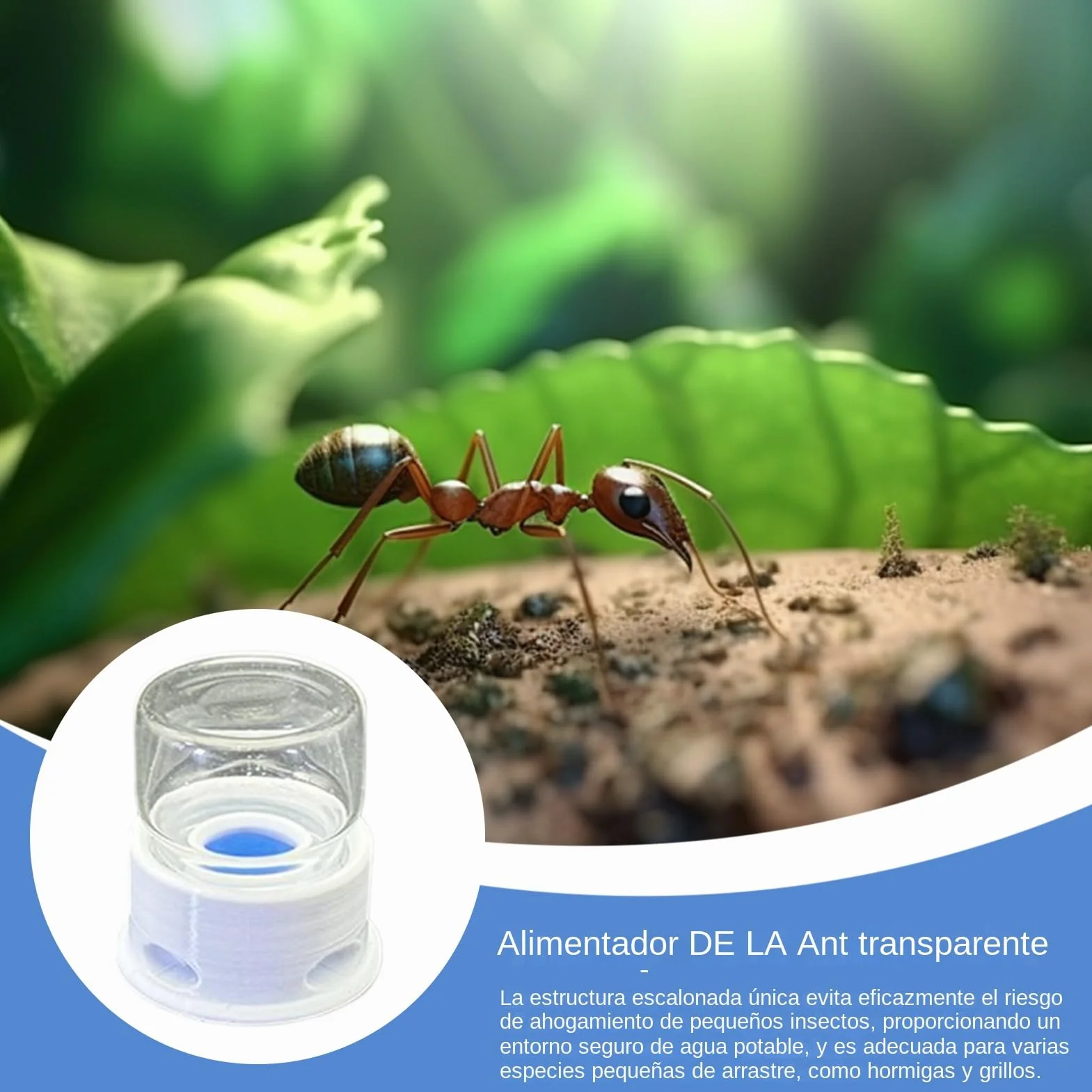 Dispensador de Agua para Hormigas | Bebedero para Grillos - Bebedero Antifugas Transparente para Granja, Hogar, Exteriores, Hormigas, Abejas
