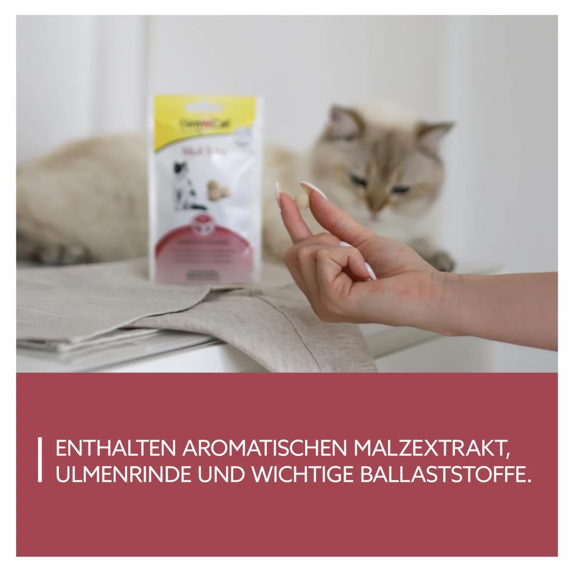 GimCat Malt comprimidos - Snack para gatos funcional que influye positivamente en la salud intestinal - 1 bolsa (1 x 40 g)