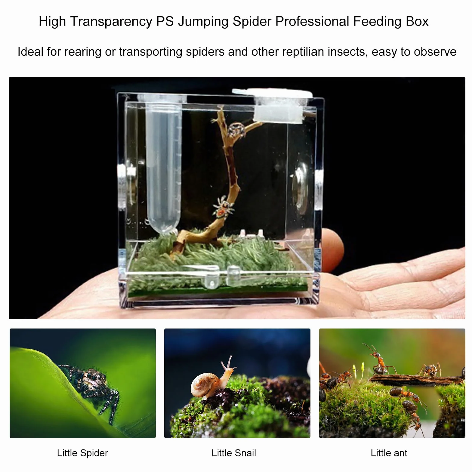 Caja de cría de 1 Piezas - Acrílico Transparente Reptil Habitat Case, para Spider Lizard Geckos Caracoles,Estuche de Terrario para Mini Mascota, Serpiente, Araña, Tarántulas, Molino