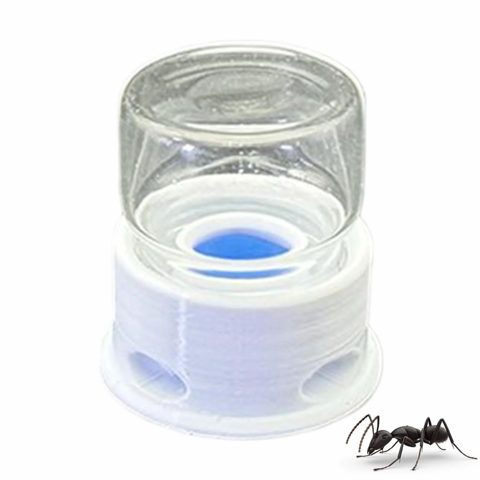 para Hormigas | Bebedero para Grillos | Bebedero Transparente Antifugas Insectos, Granja, Aula y Hogar