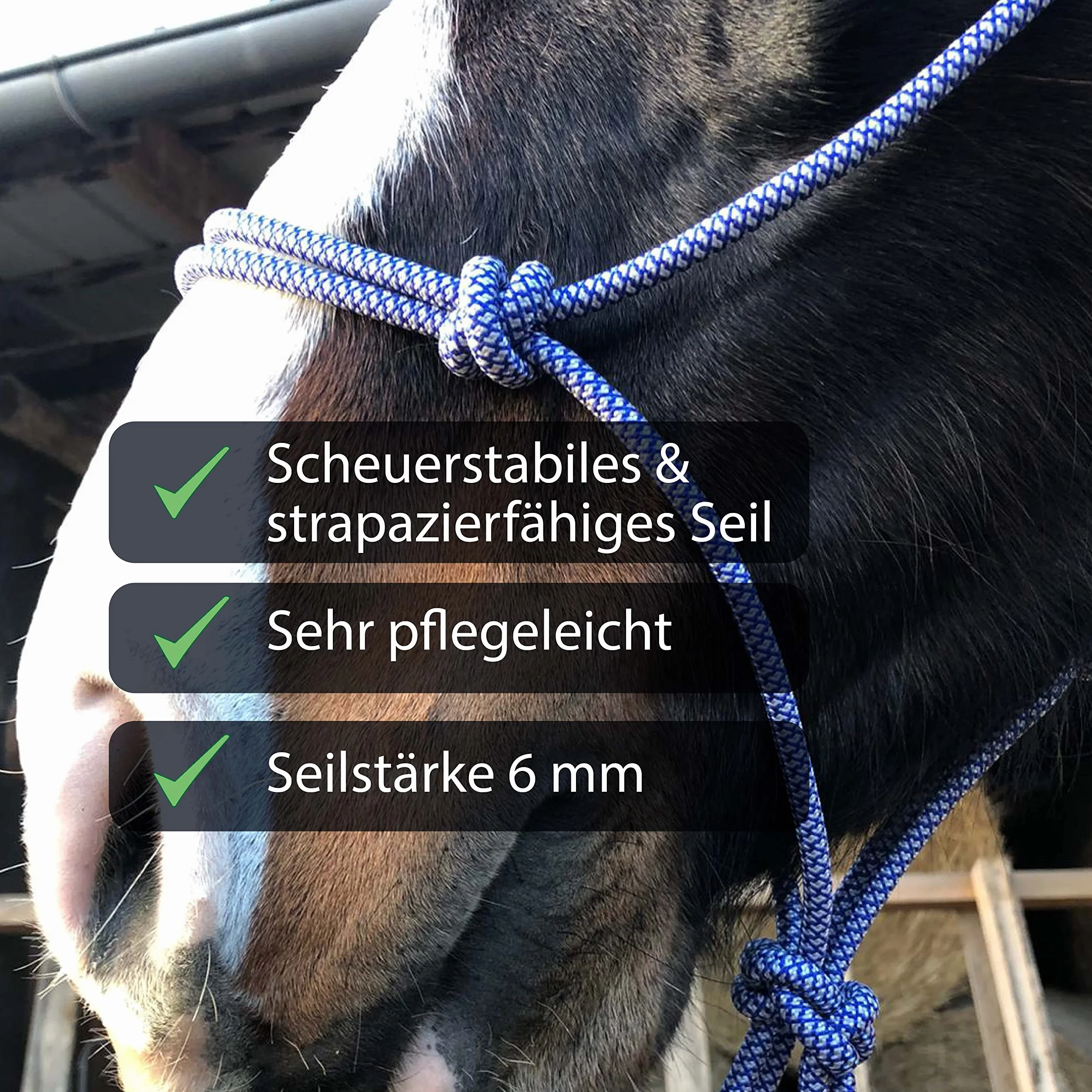 Nudos para trabajos en el suelo caballo – Nudos Cob ideal para trabajos al aire libre, trabajo en el suelo, entrenamiento de conducción o carga (sangre caliente (Full), azul real y blanco)