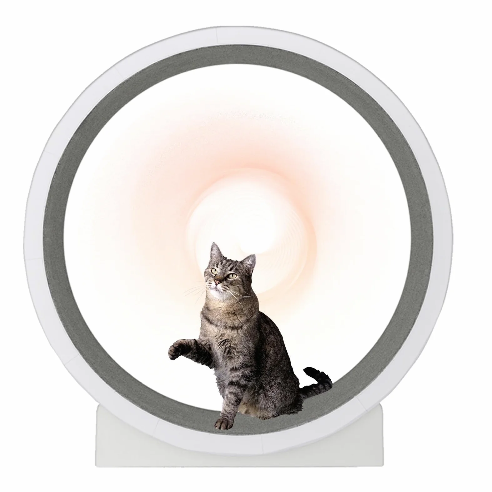 Rueda de Ejercicio para gatos Ruedas para gatos de Interior, Rueda para Correr para gatos con Pista alfombrada y Rueda silenciosa, Ruedas para hámster para gatos para Perder Peso y Salud