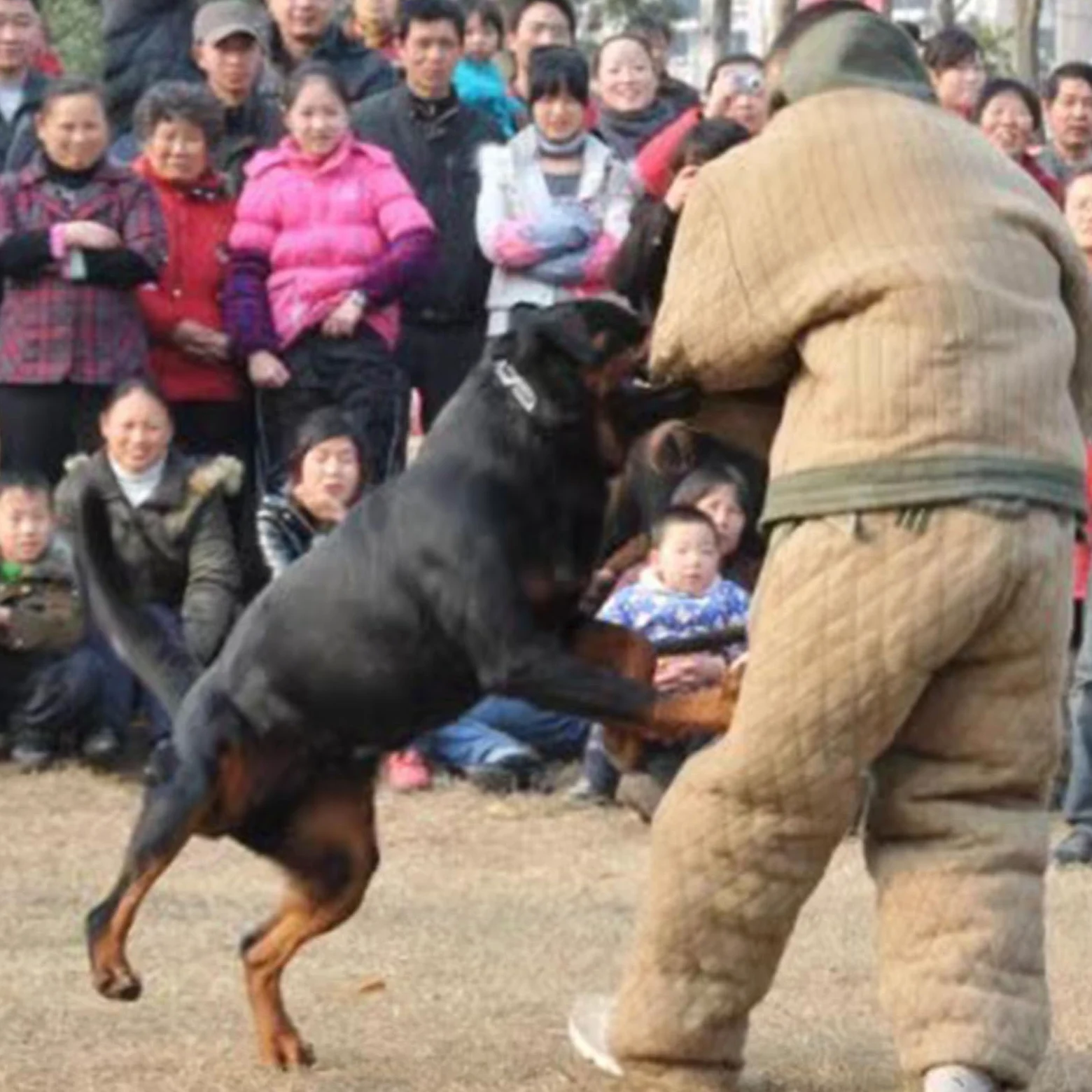 Mono antimordeduras, traje de adiestramiento canino, ropa protectora para adiestramiento canino - Traje de adiestramiento canino policía para perros medianos y grandes.,L