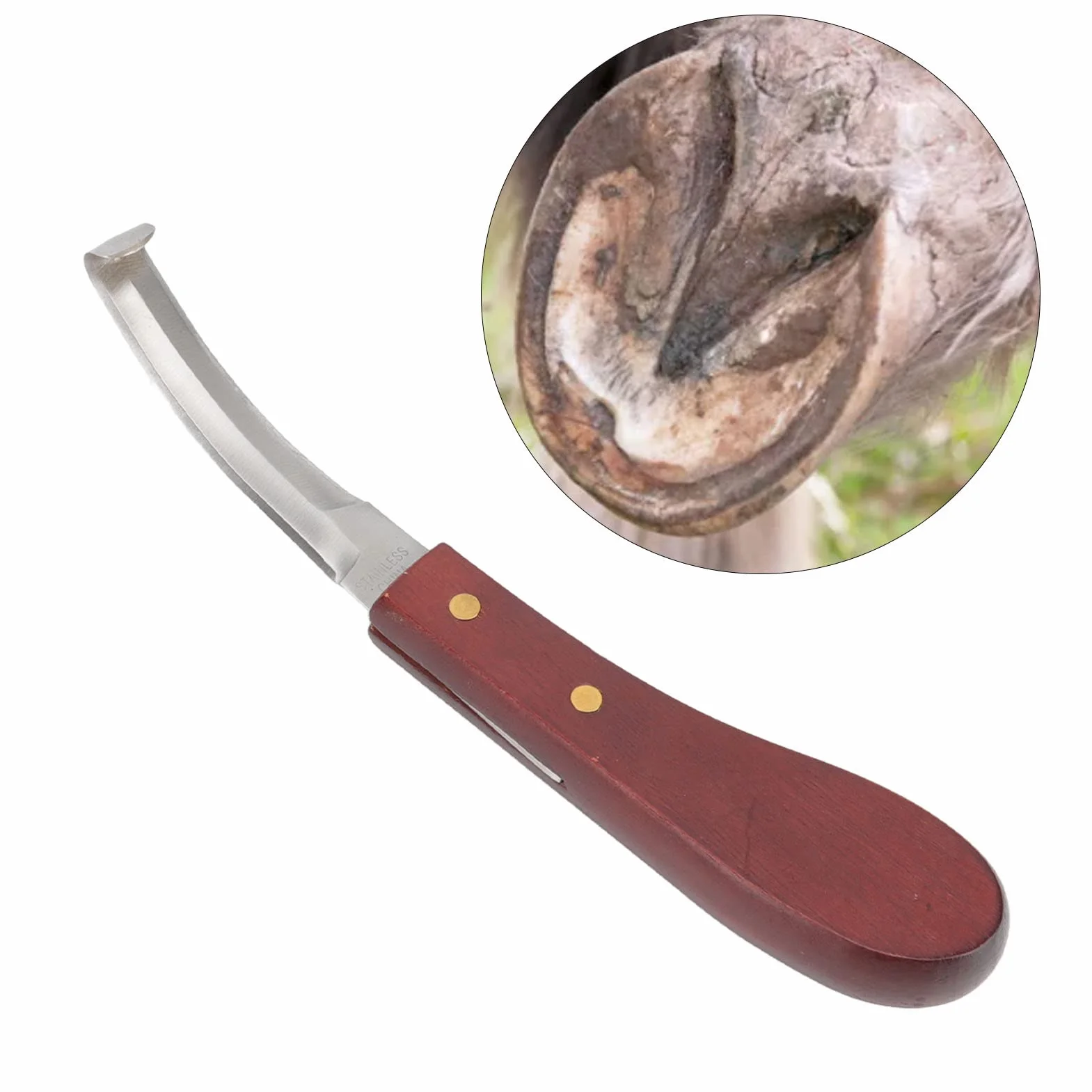 Herramienta para Recortar Pezuñas para Caballo, Cuchillo para Pezuñas de Acero Inoxidable, de Madera de Goma, Cuchillo para Pezuñas, Cuchilla de Doble Filo, Hoja de Doble Cara, Mano Derecha
