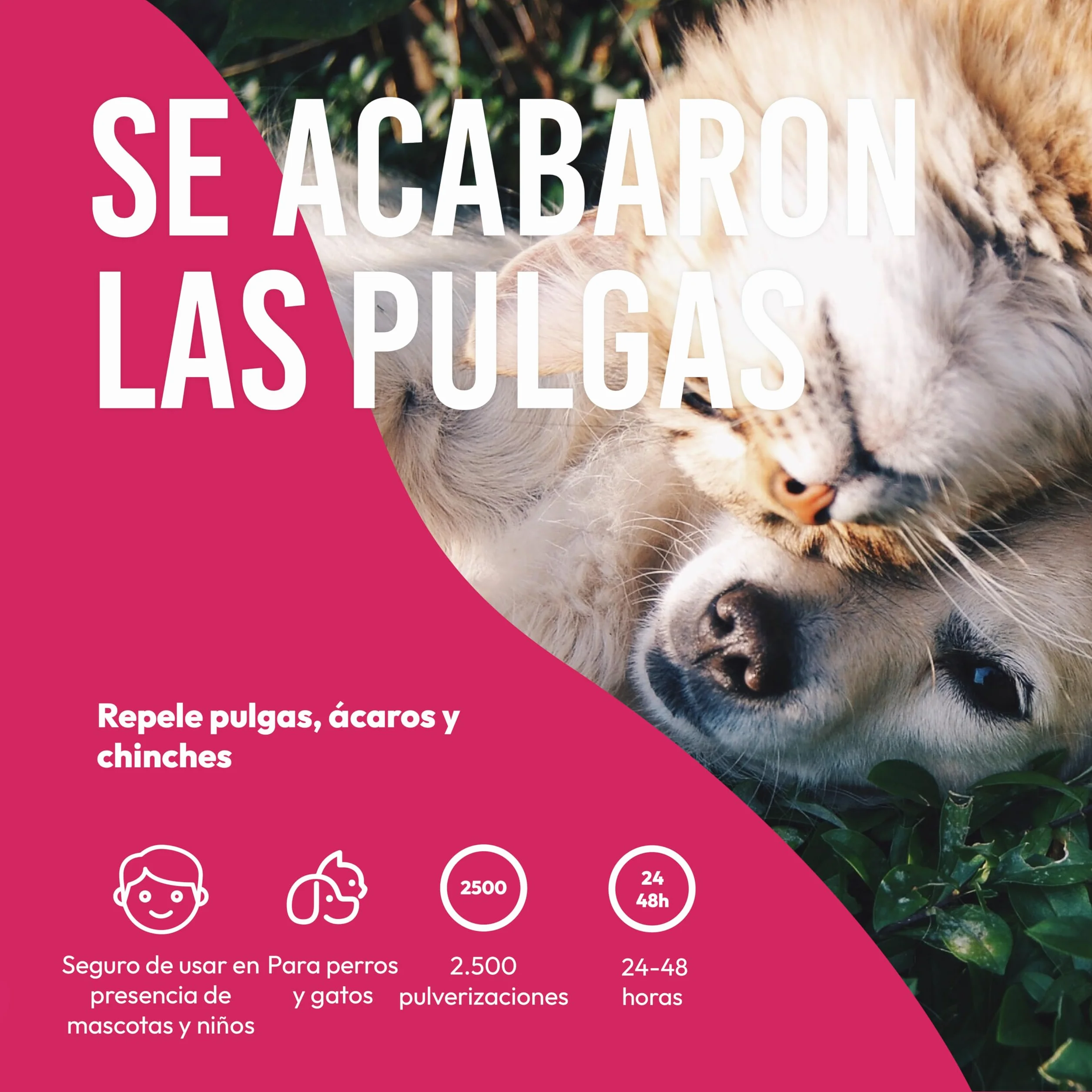 Petsly® Spray Antipulgas para Perros y Gatos -500ml- No Mancha - Antiparasitario Perros con Geraniol - Tratamiento Anti Pulgas, Garrapatas y Ácaros para el Hogar, Muebles y Textiles - Antipulgas Gatos