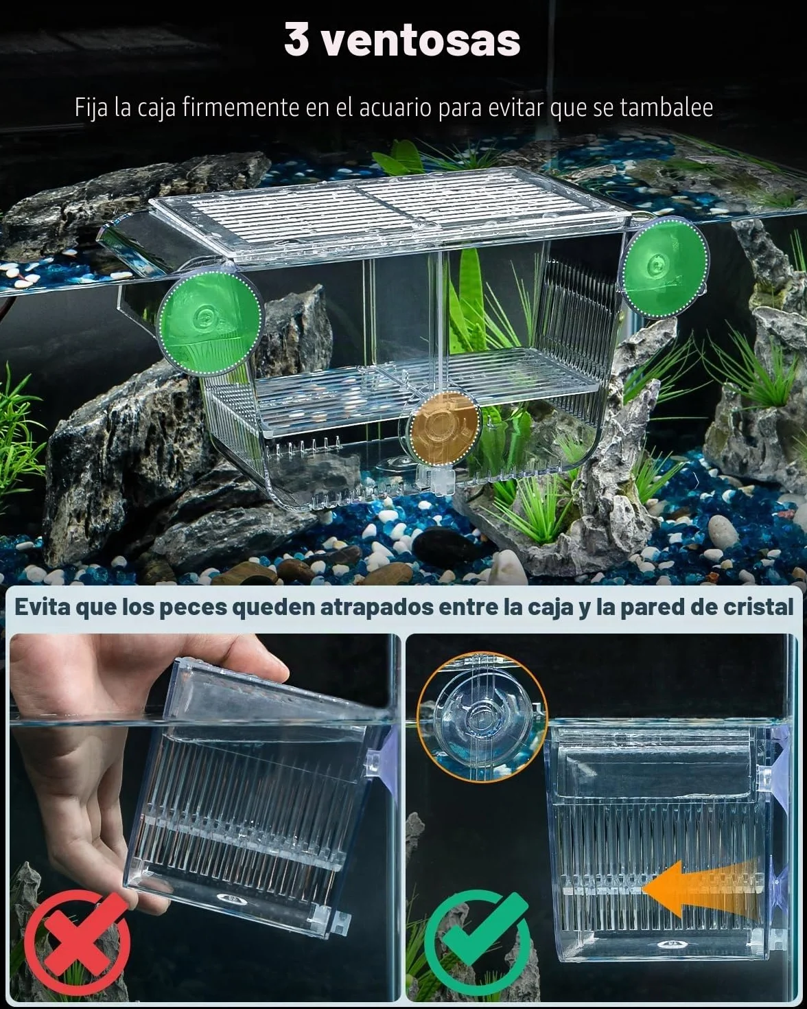 Pawfly Caja de cría de peces de acuario con 6 ventosas de acrílico para peces bebés, camarones, betta, guuppy, platy