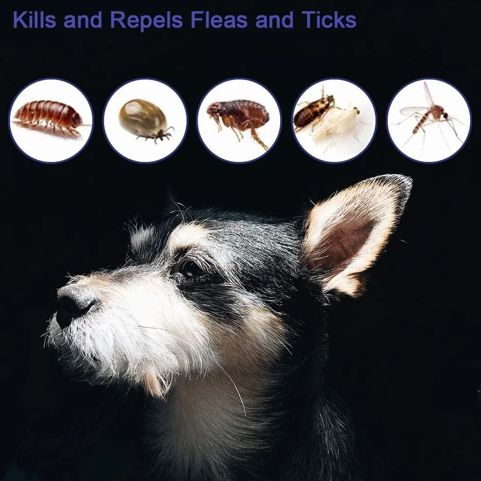 aiMaKE Tamaño Ajustable Collar Antiparasitos para Perro, Collar Antipulgas, Collarcontra Pulgas Garrapatas y Mosquitos para Perros y Gatos, Duracion 8 Meses -63cm