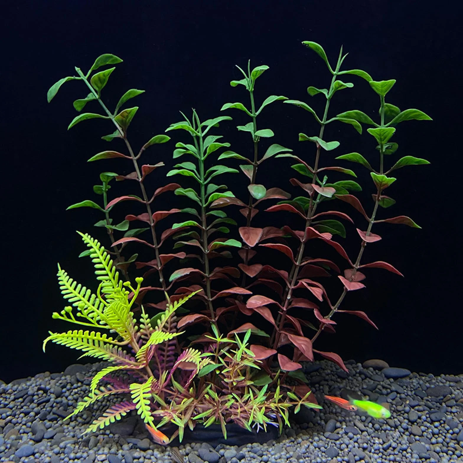 Adornos Artificiales de plástico for Plantas acuáticas, Accesorios simulación for pecera, 3 Piezas C