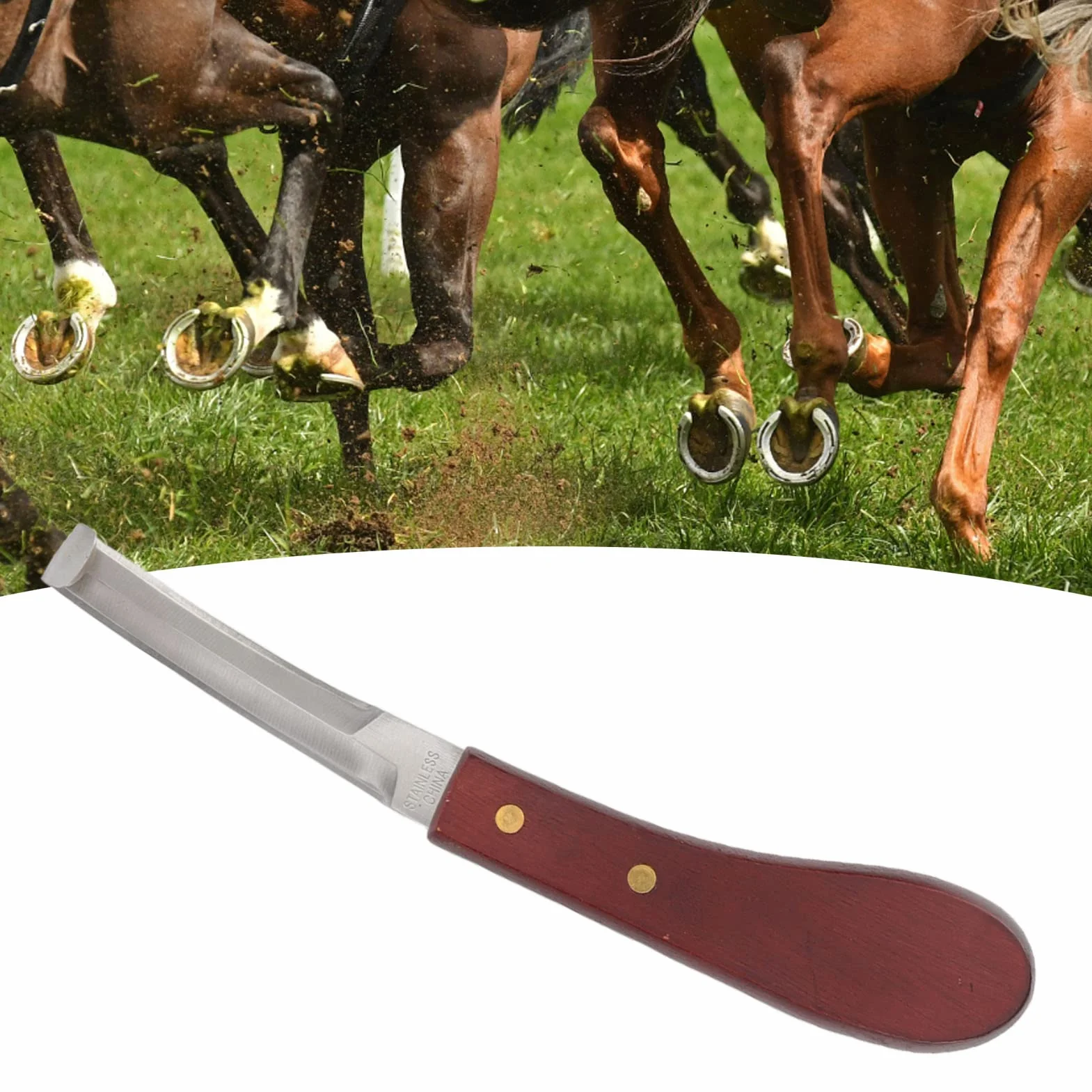 Herramienta para Recortar Pezuñas para Caballo, Cuchillo para Pezuñas de Acero Inoxidable, de Madera de Goma, Cuchillo para Pezuñas, Cuchilla de Doble Filo, Hoja de Doble Cara, Mano Derecha