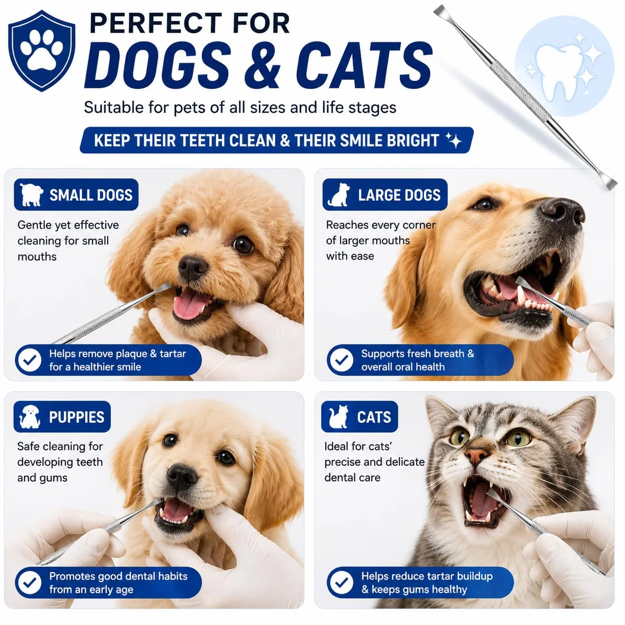 Herramientas dentales Rascador de sarro de doble cabeza Rascador de dientes dental Removedor de placa (perfecto para gatos y perros) Herramienta de limpieza de dientes de acero inoxidable