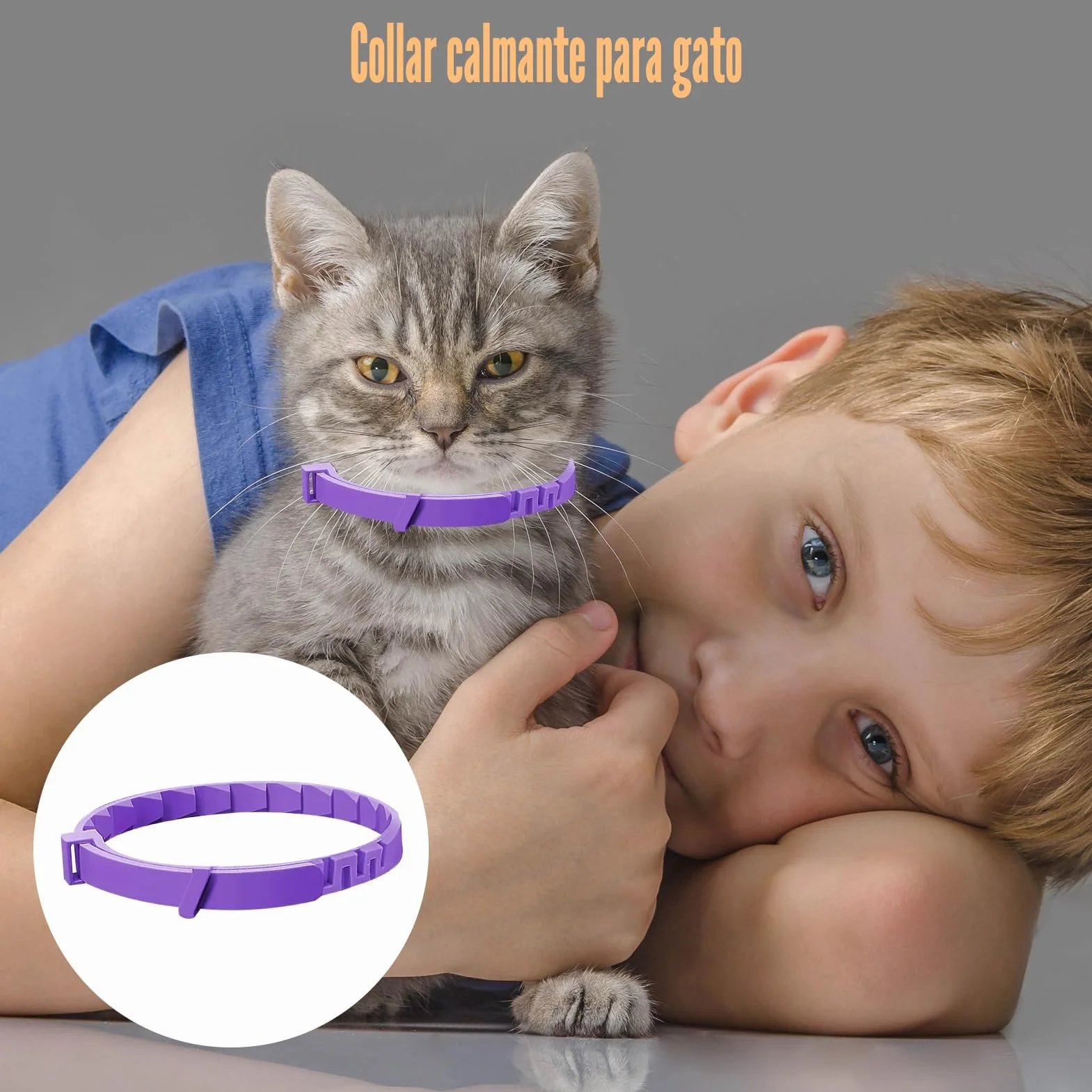 Collar calmante para gatos de 4 piezas, antiestrés natural con feromonas, color púrpura, talla ajustable y efecto 30 días, para gatitos y gatos adultos