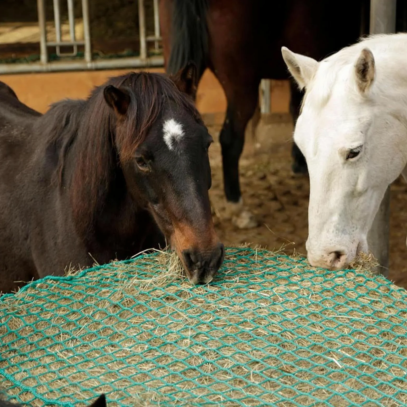 Redes para Heno de Caballos Organizador De Alimento Para Caballos | Bolsa Malla Alimento Ovejas para Caballerizas Veterinarios Jinetes Cuadras Escuelas de Equitación Ranchos Granjas y