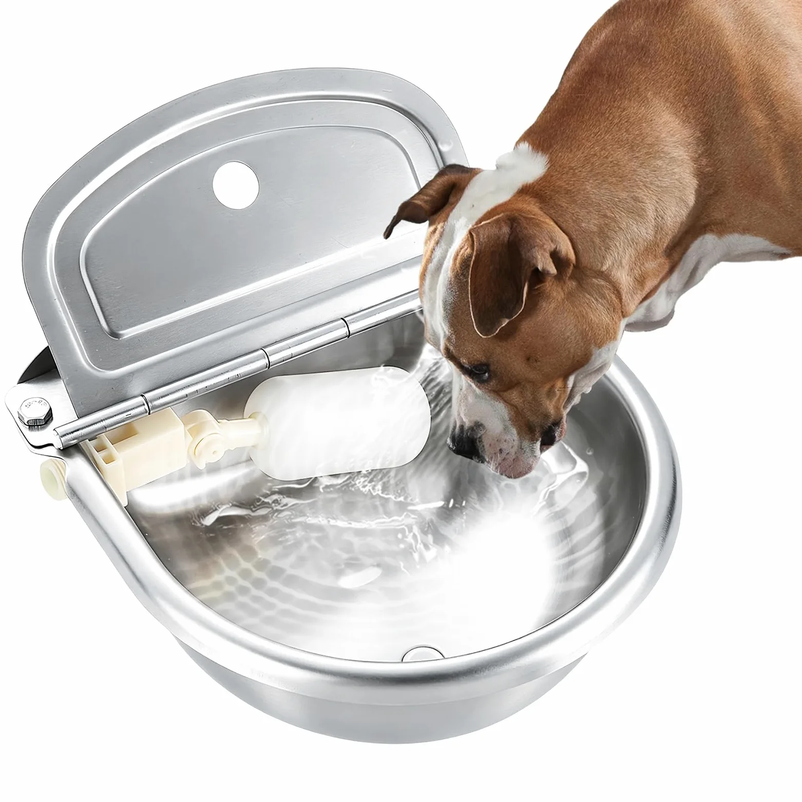 Natgai - Cuenco de agua automático de acero inoxidable con válvula de flotador y orificio de drenaje para granja para caballo, ganado, cabra, oveja, perro