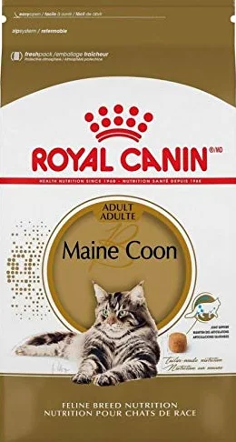 Royal Canin Maine Coon 31 - Comida para gatos, 10 kg