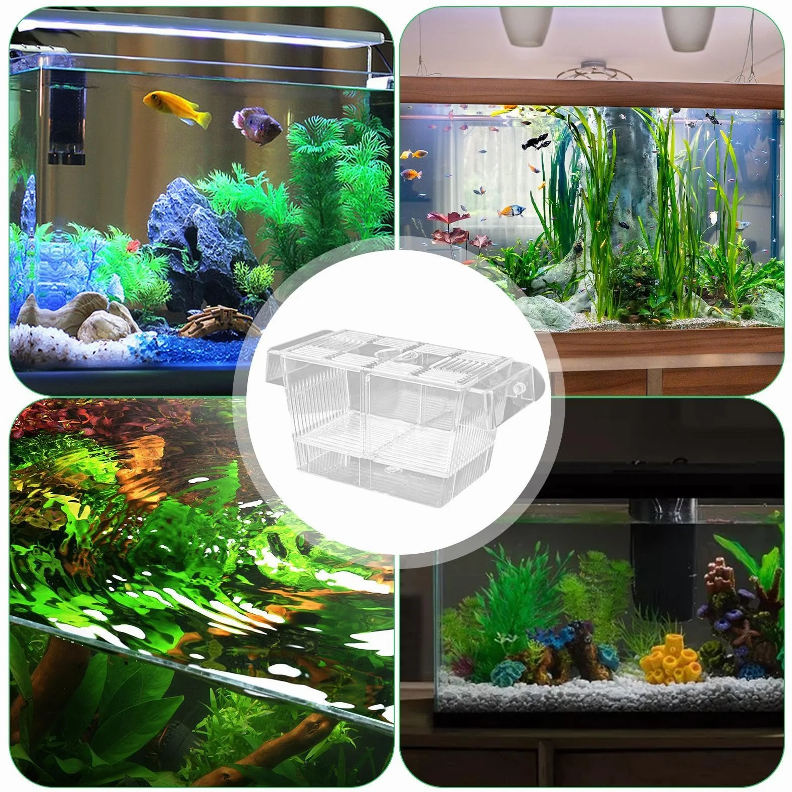 Genérico Caja De Cría De Peces, Paridera Acuario, Caja De Cría De Acrílico, Divisor De Pecera, para Camarones Betta Guppy