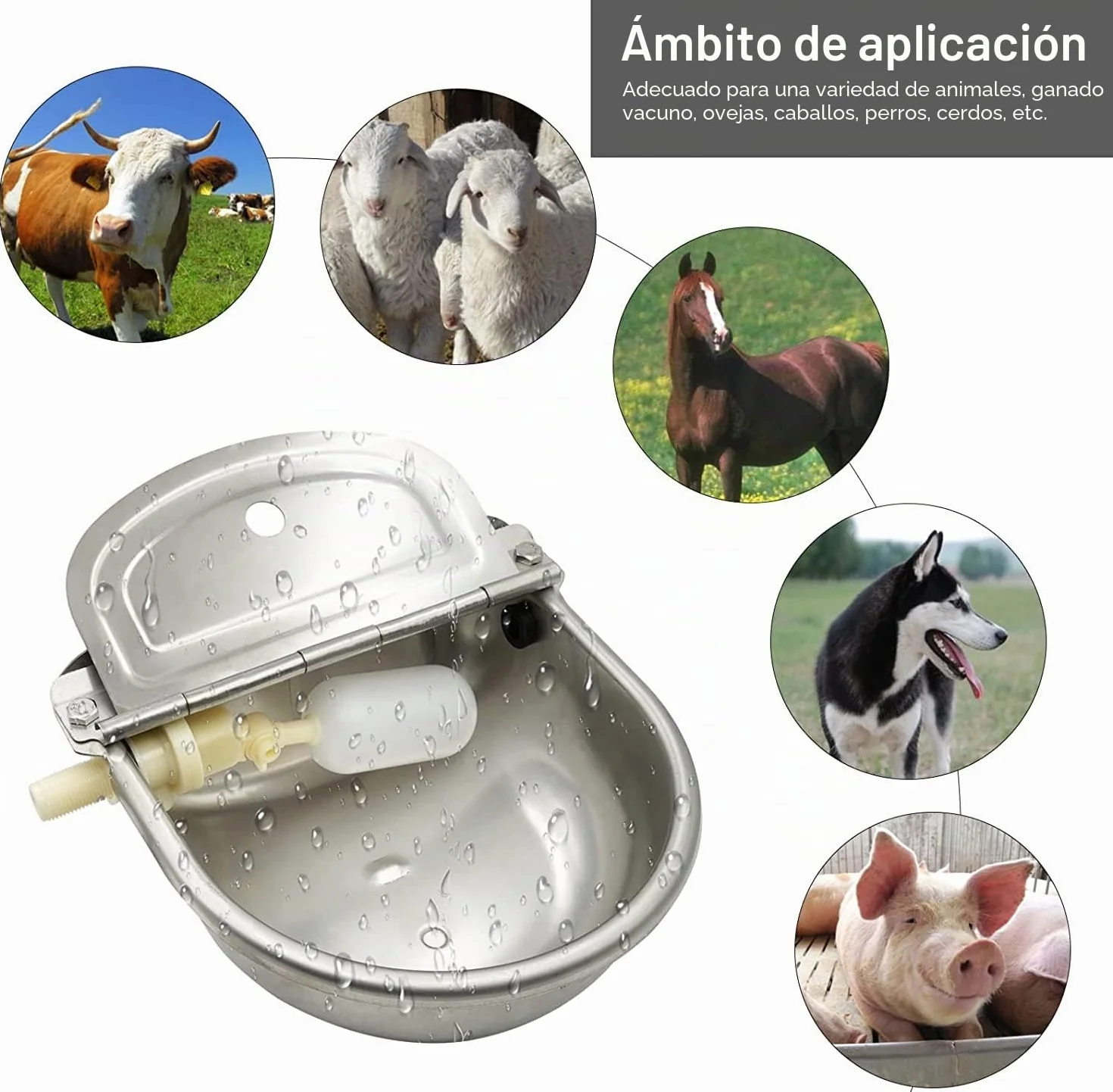 Recipiente AutomáTico Agua Vacas, Bebedero Acero Inoxidable 4 en 1, Utilizado para Ganado Caballo Oveja Bebedero para Perros Herramienta Cría Animales